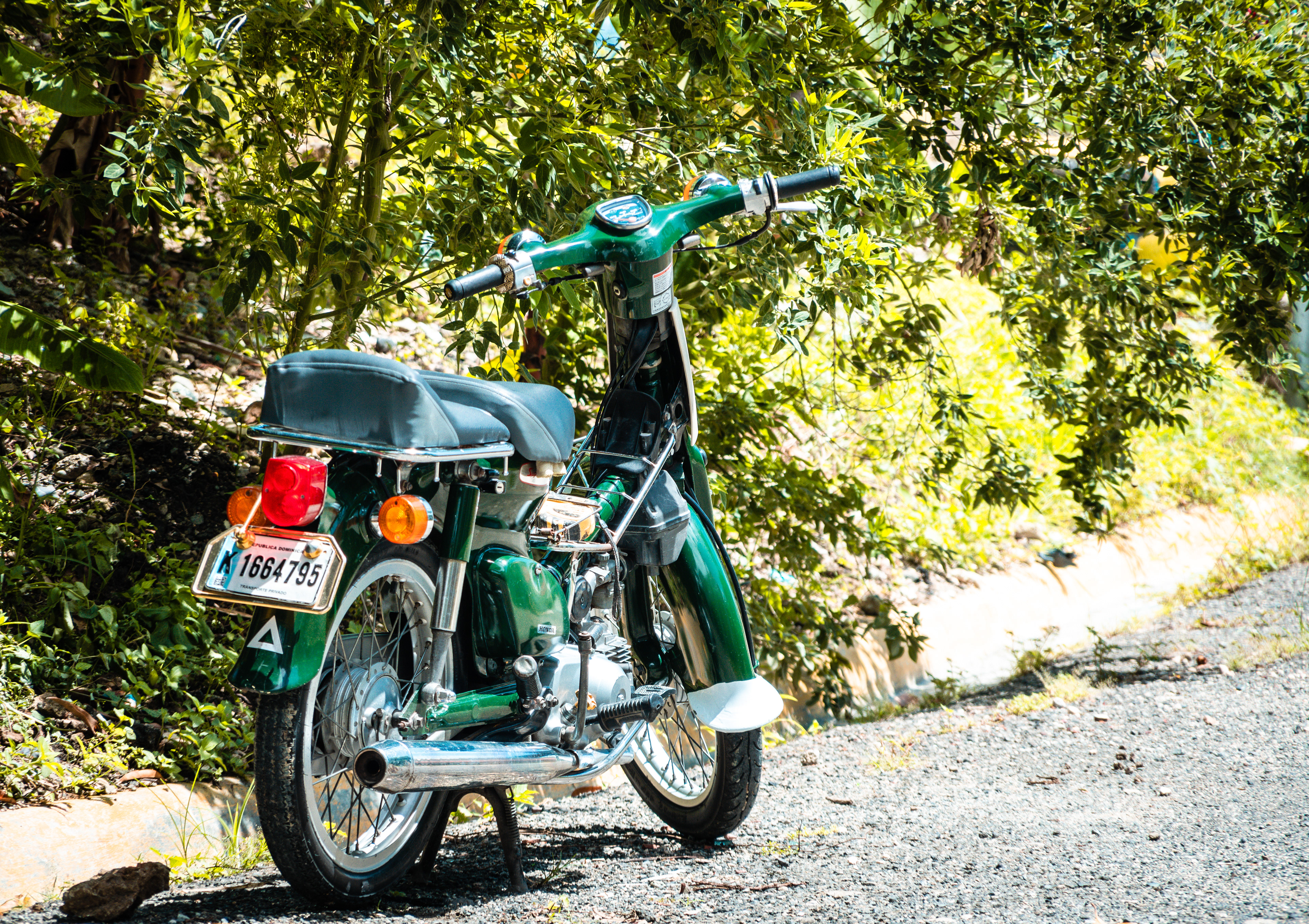 Puerto Plata, Dominican Republic July 2021   VIII