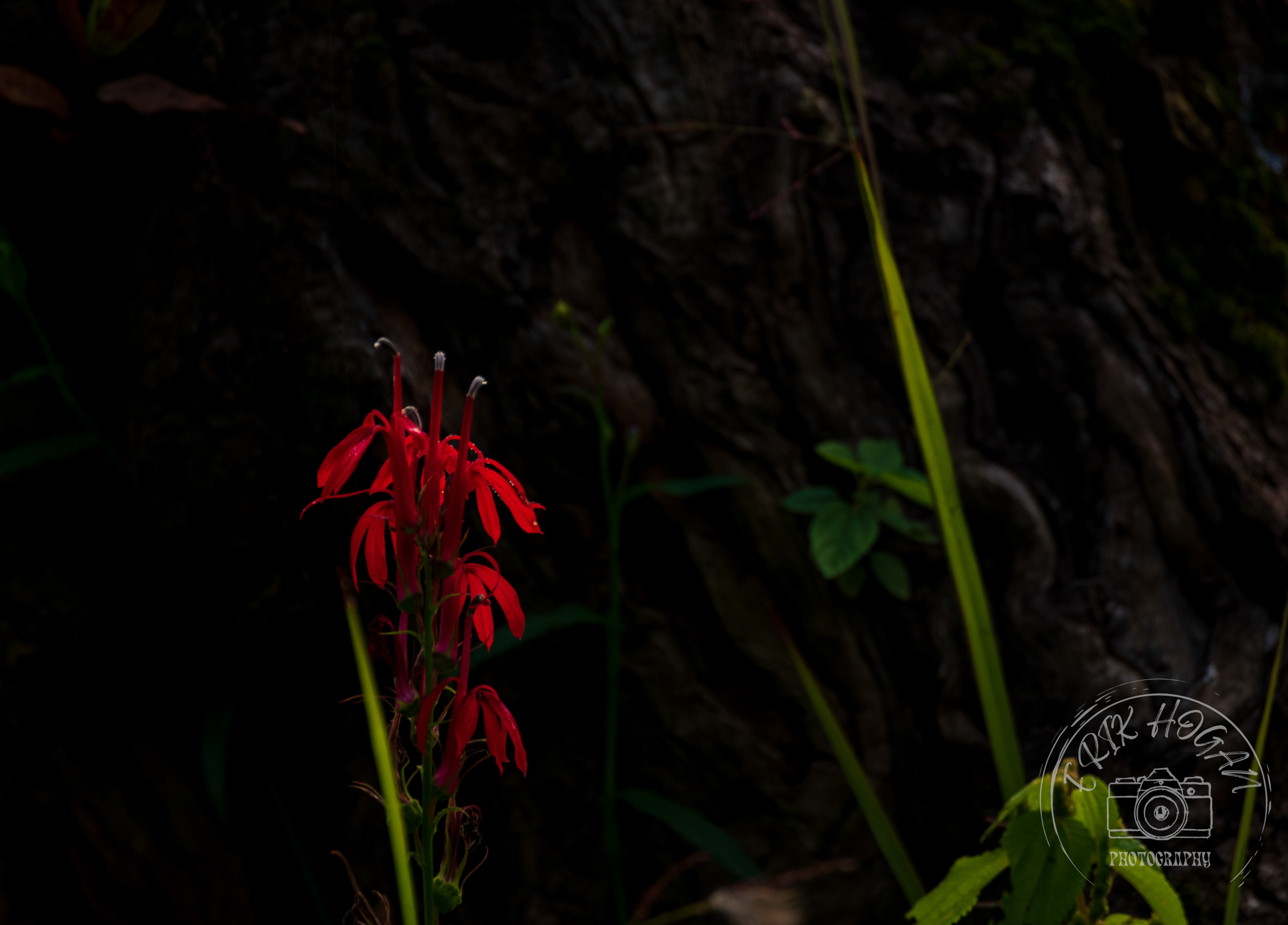 Sandy Creek Nature Center September 2022