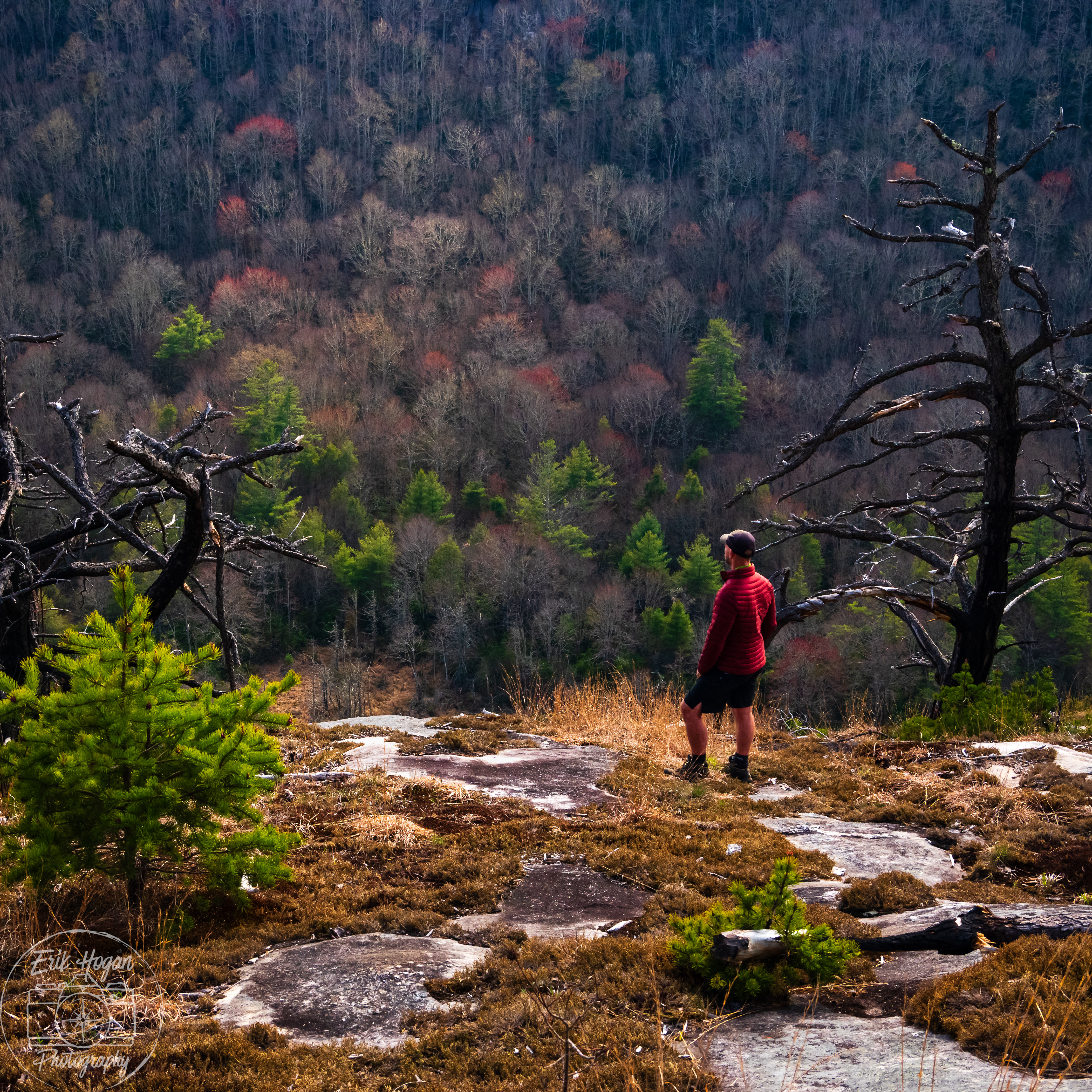 Panthertown Valley April 2024   IV