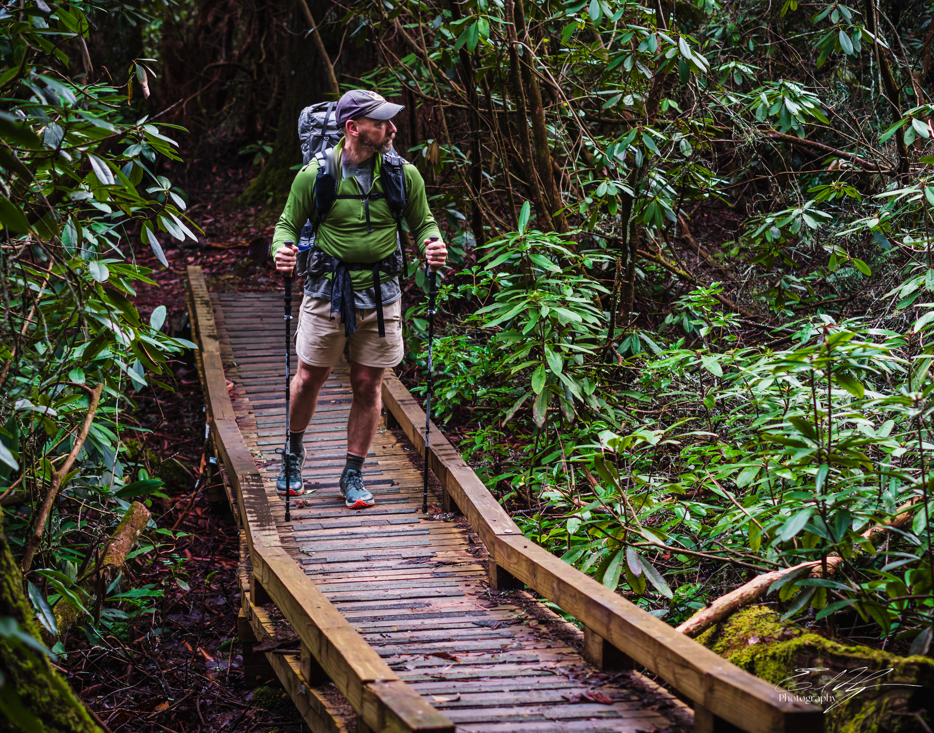 Benton MacKaye Trail 2025   VI