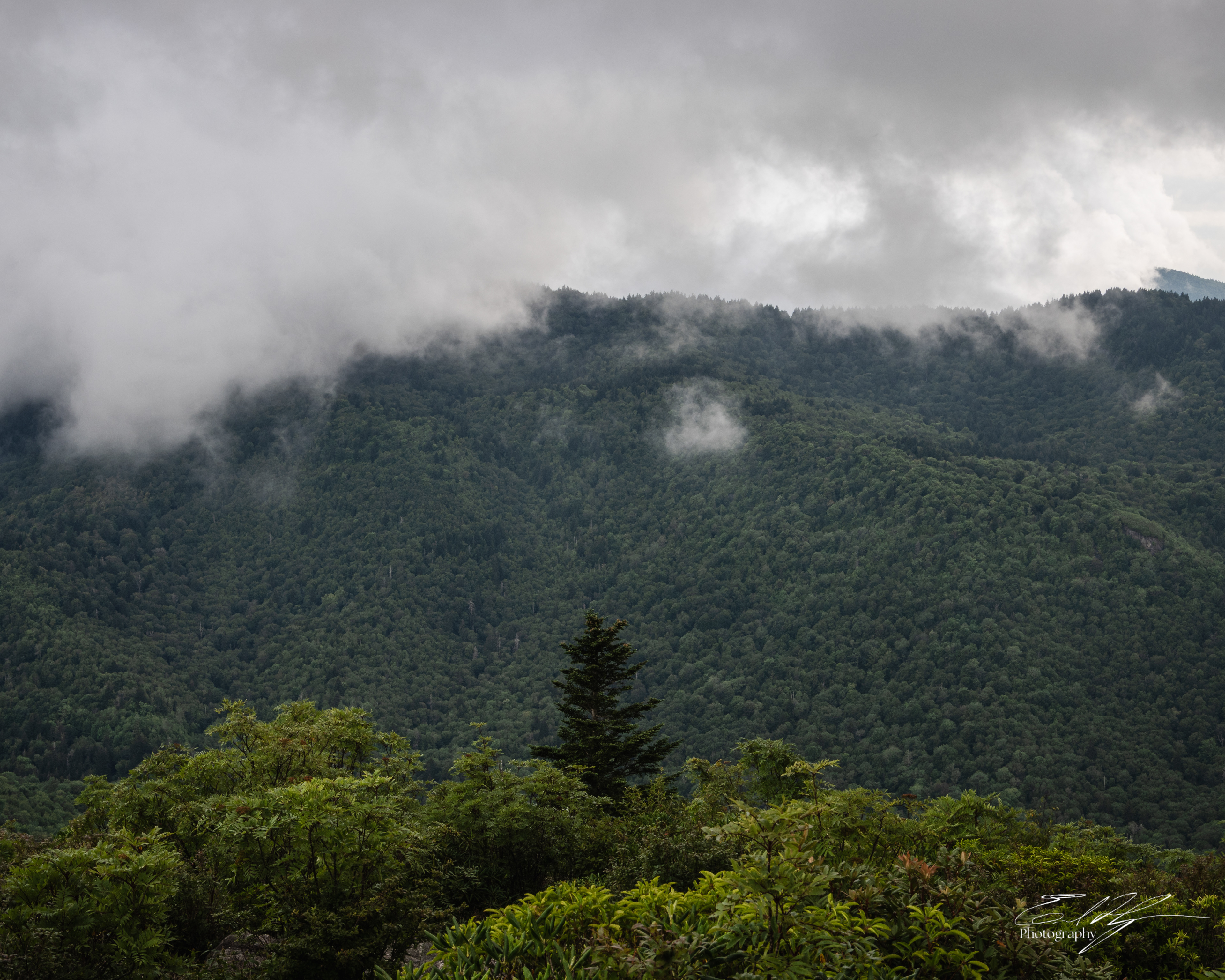 Sam Knob August 2025 V