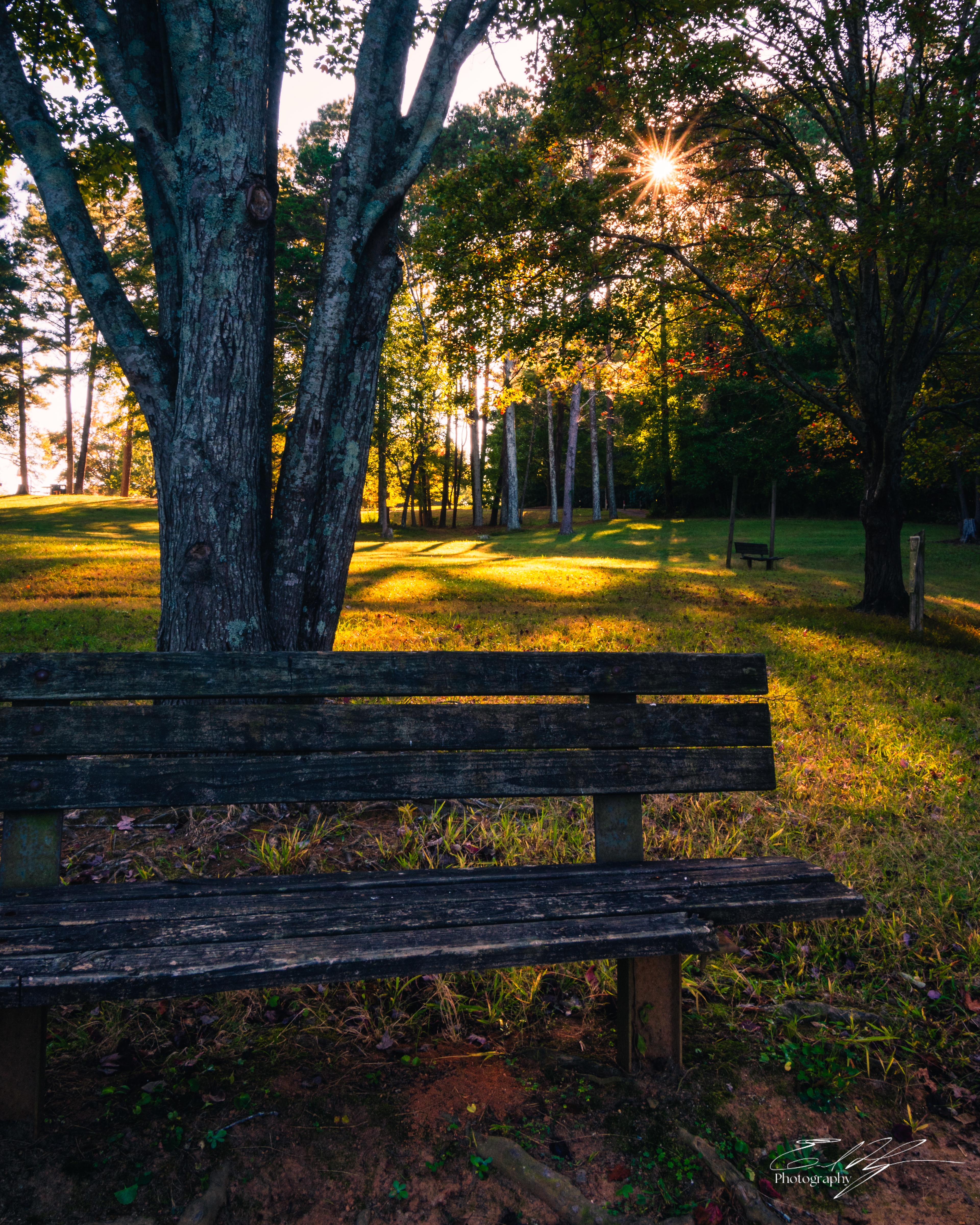 Sandy Creek Park October 2024   II