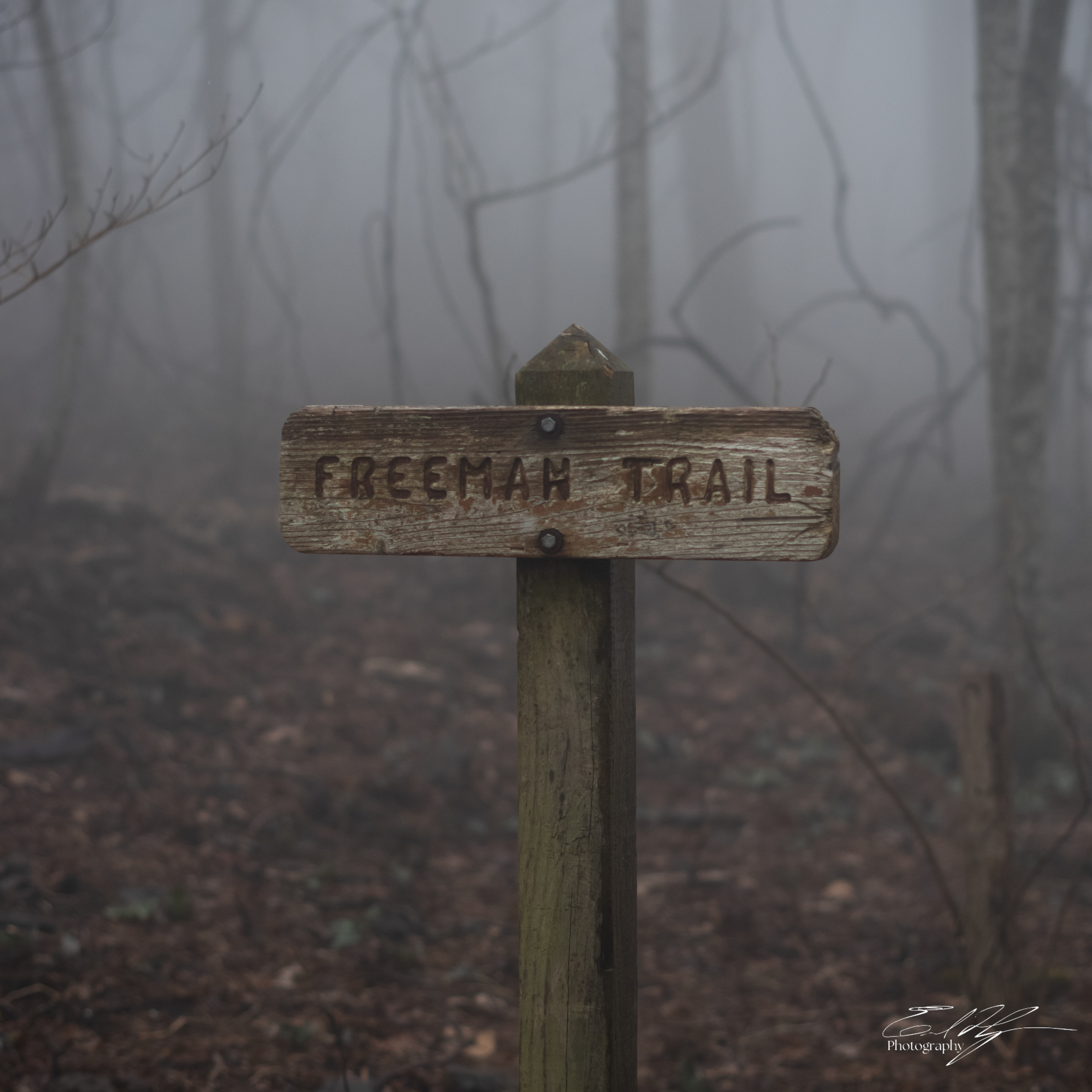 Freeman Trail 2025   I