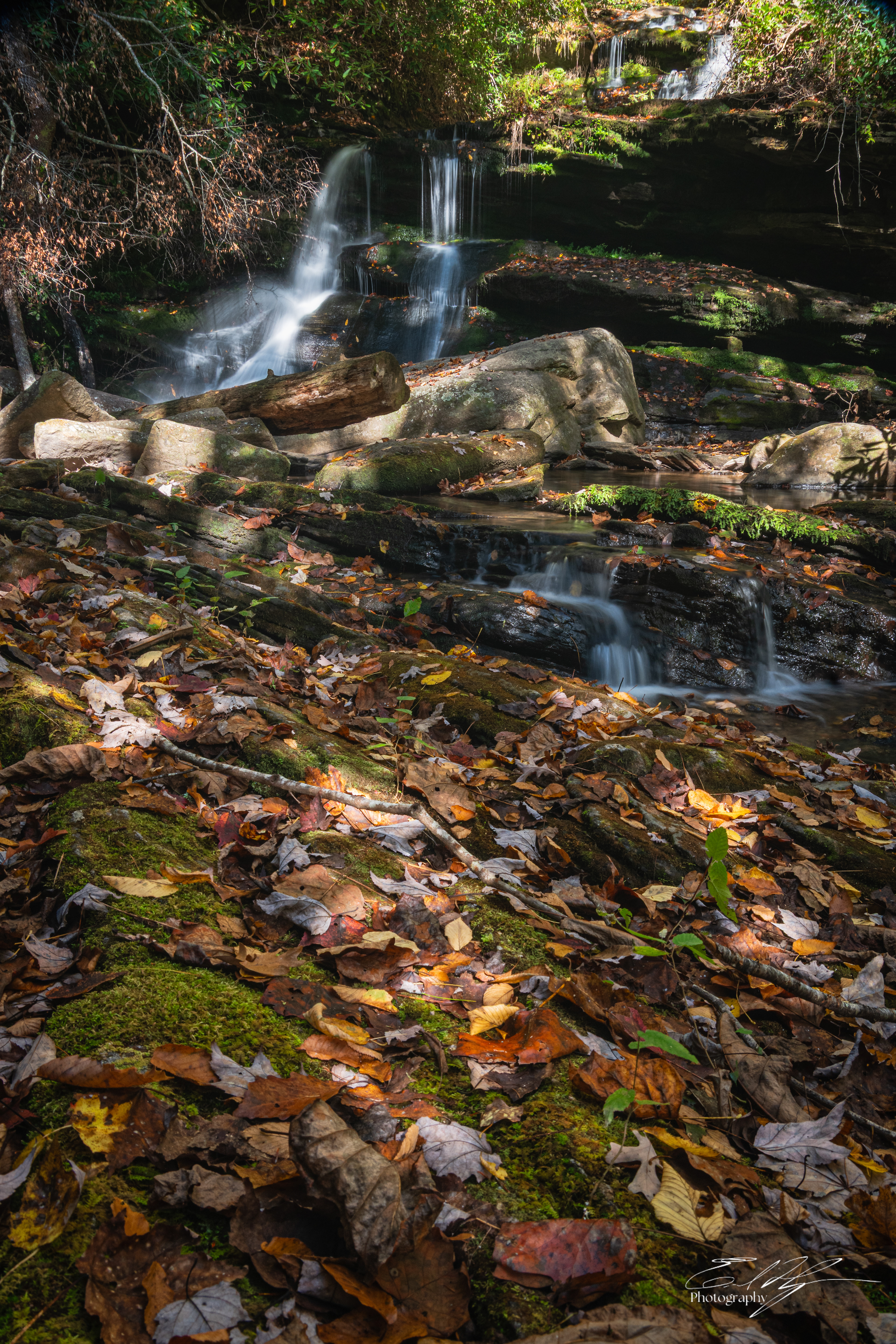 Day 2  Martin Creek Falls III
