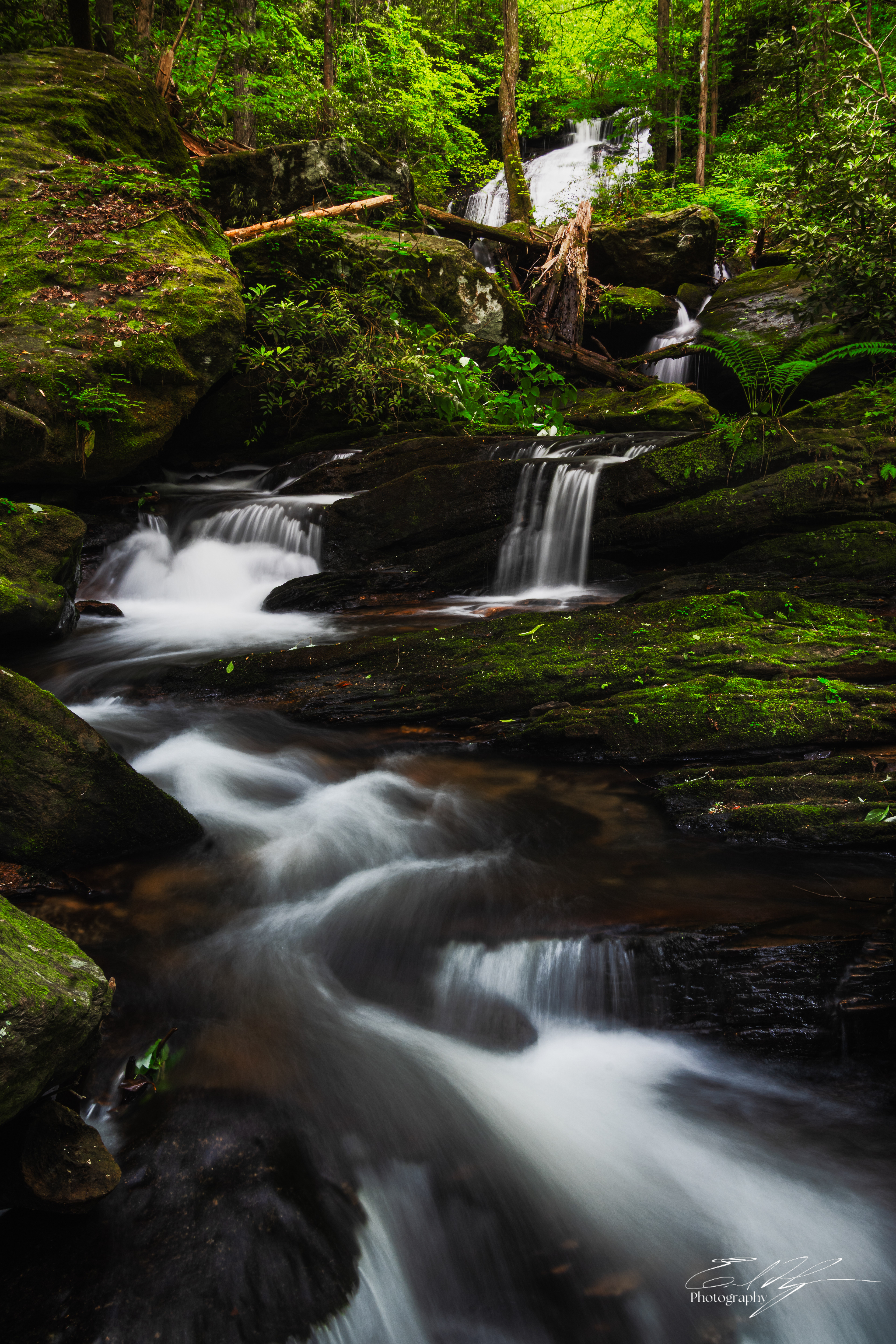 Opossum Creek Falls May 2025   III