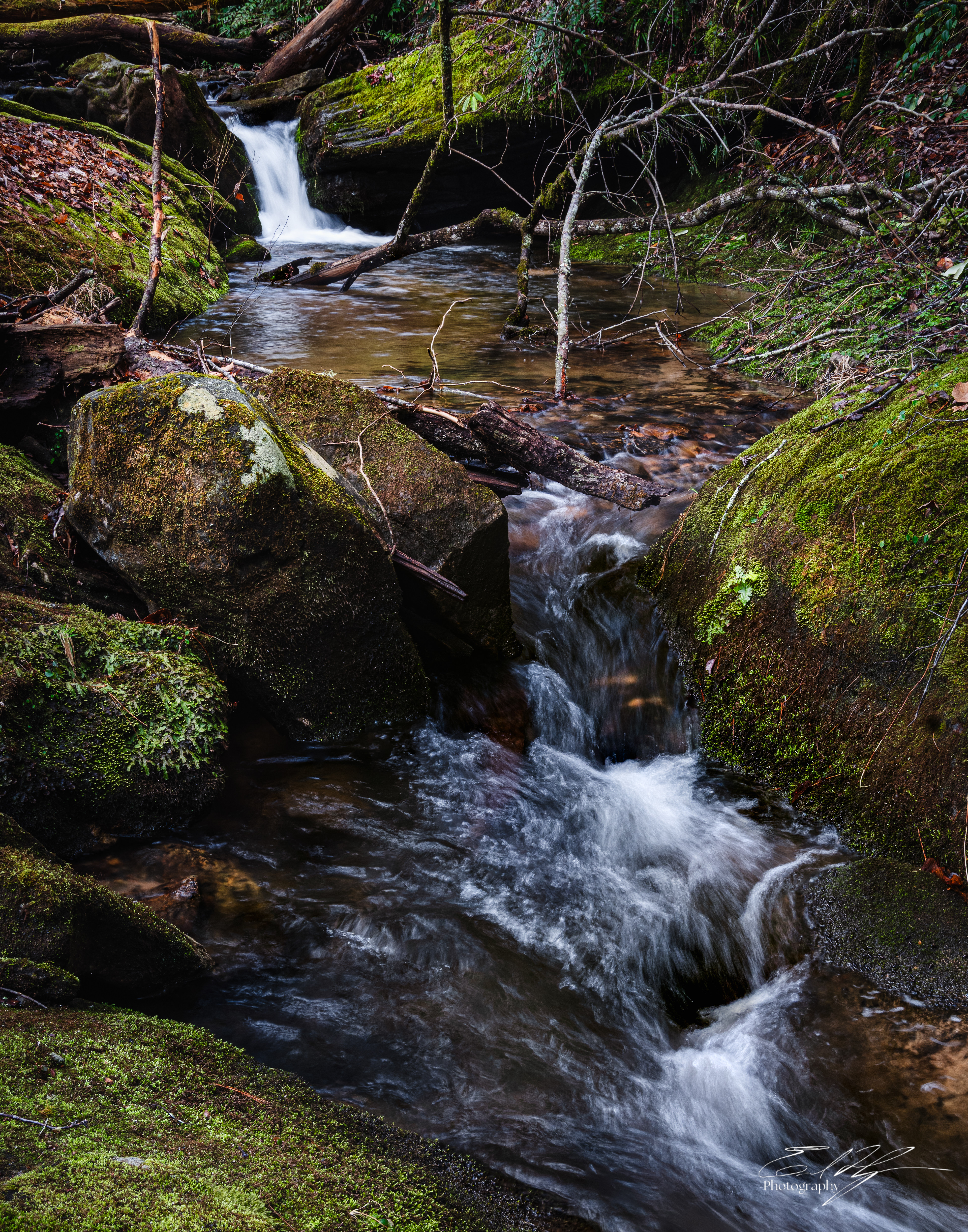 Camp Creek February 2026 V