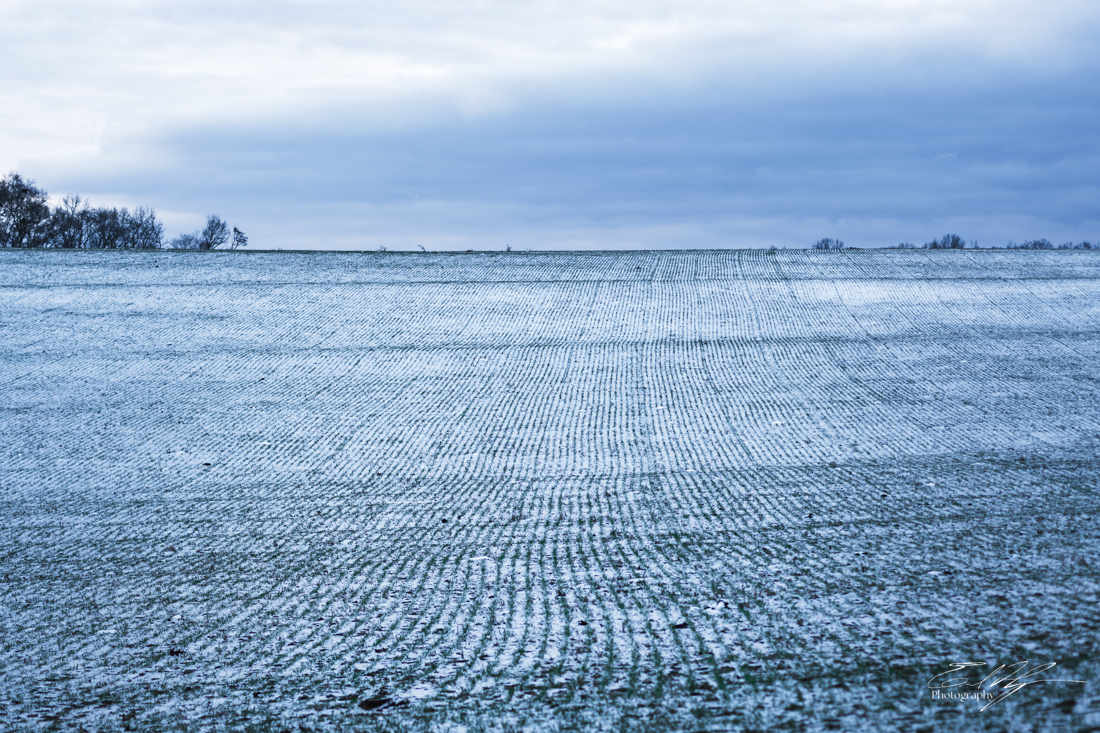 Snow Day January 2025   IV