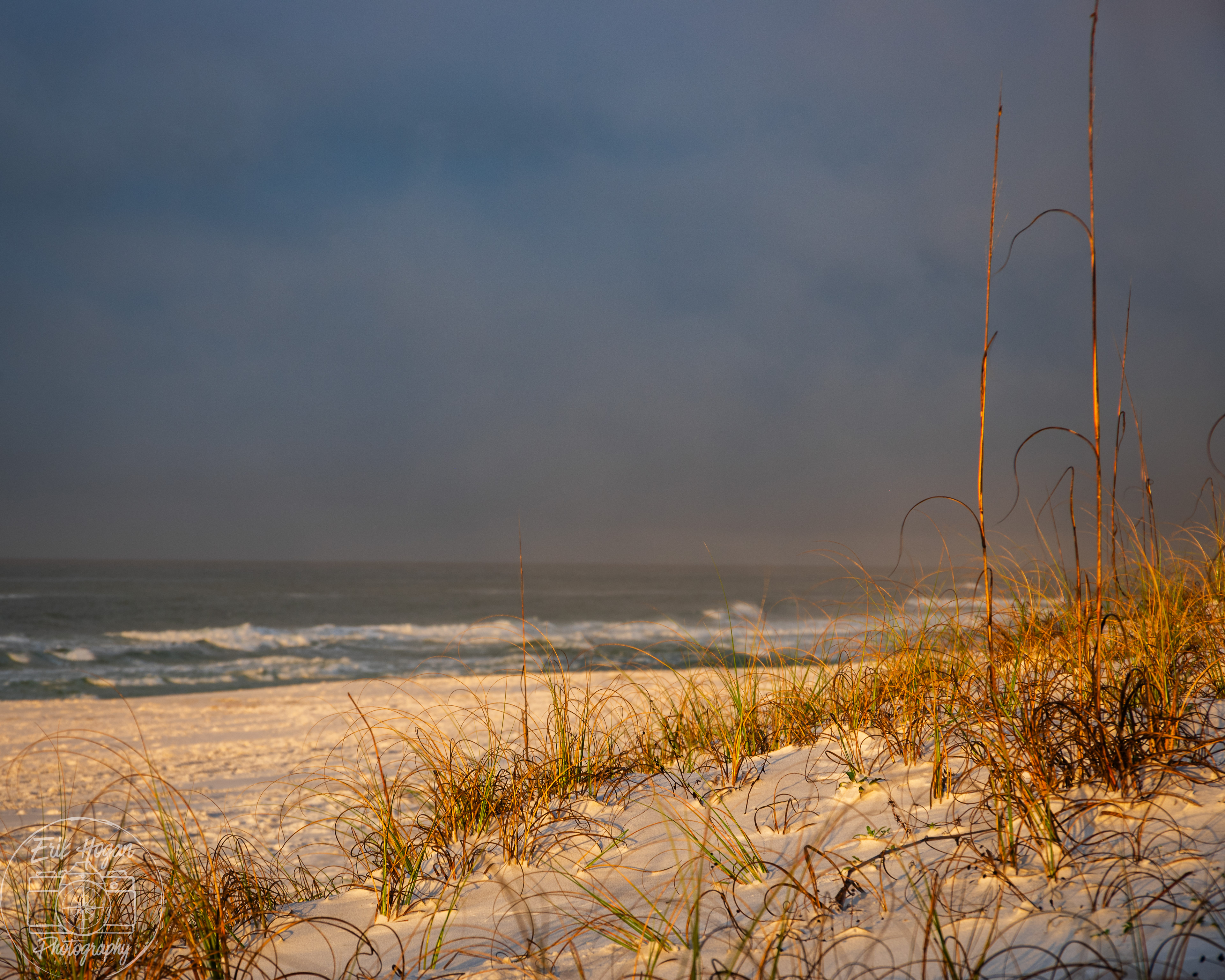 Miramar Beach March 2024   XV