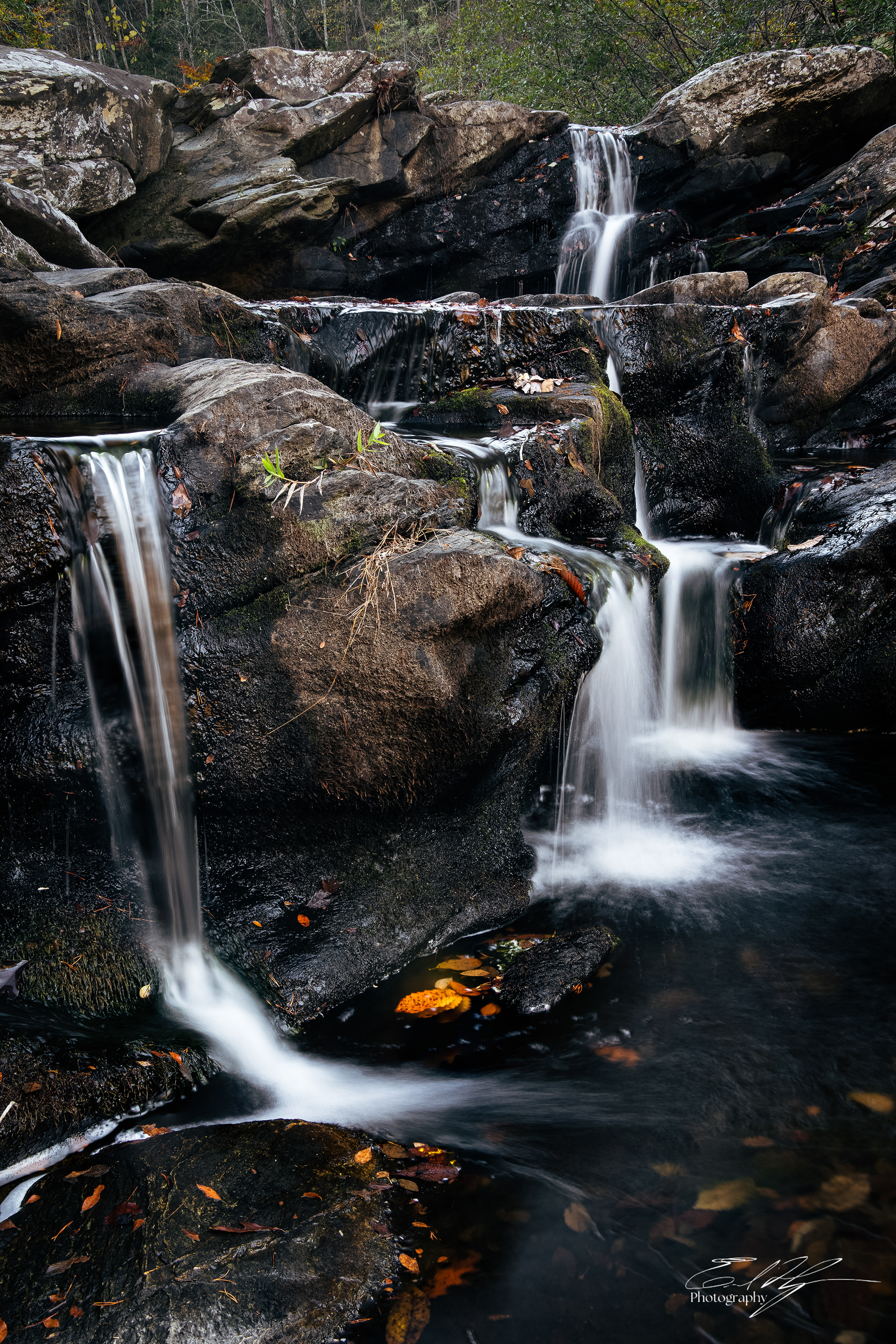 Devil's Den Falls November 2024   IV