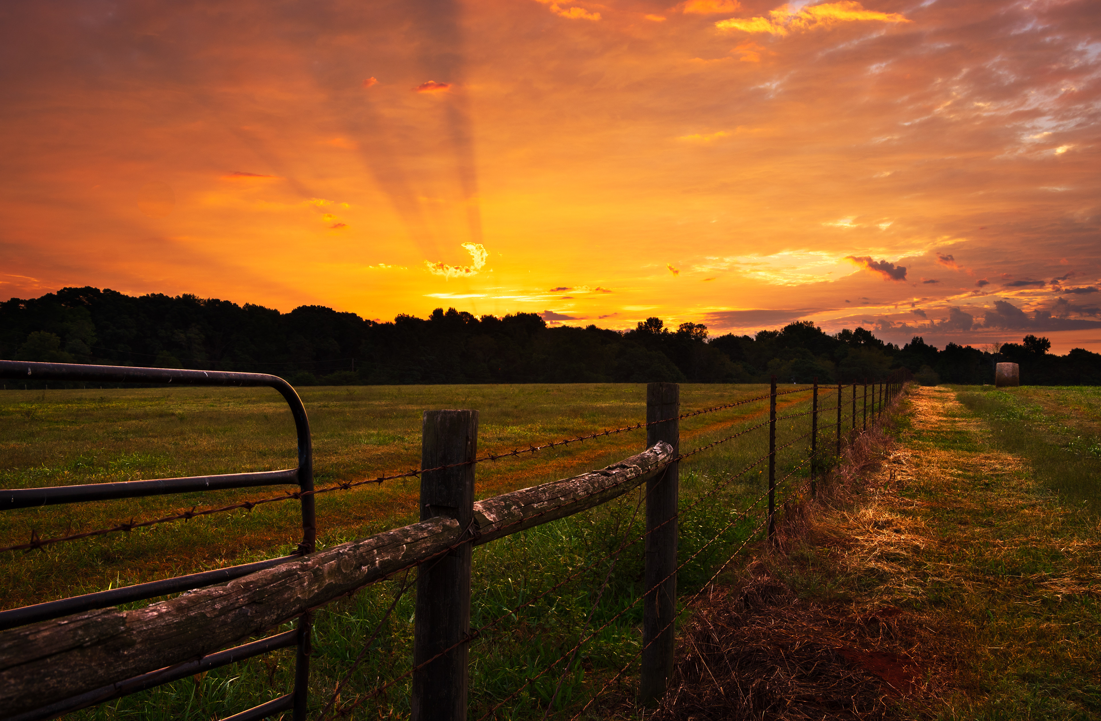 Morton Rd Sunrise September 2022   II