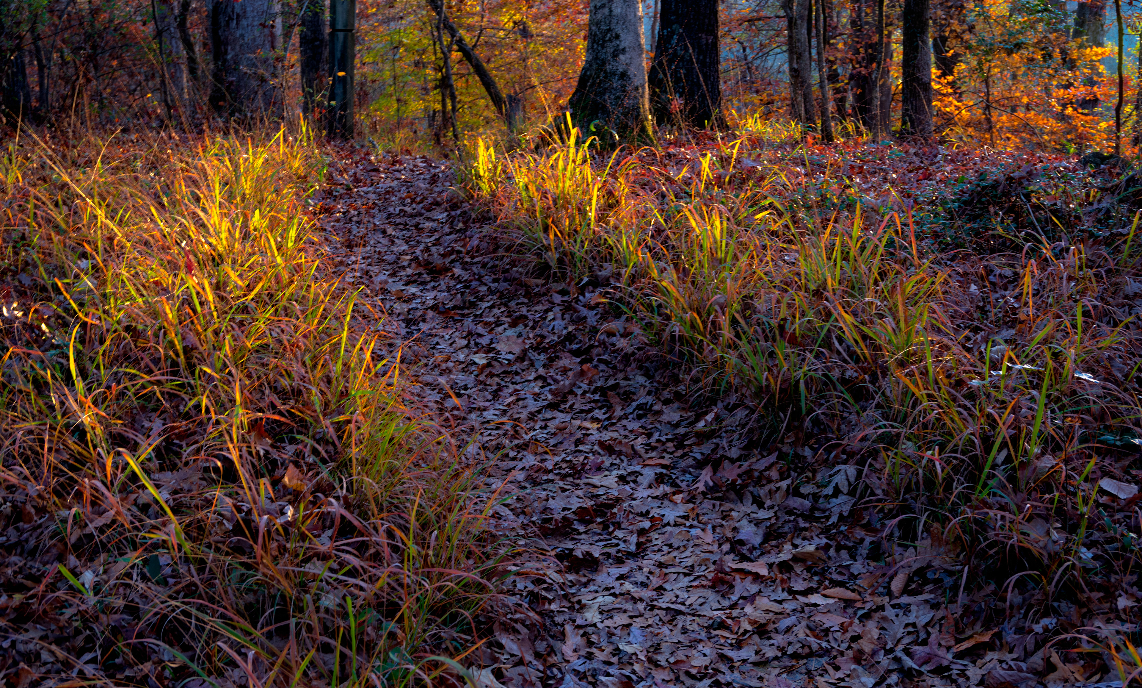 Sandy Creek Nature Center November 2021