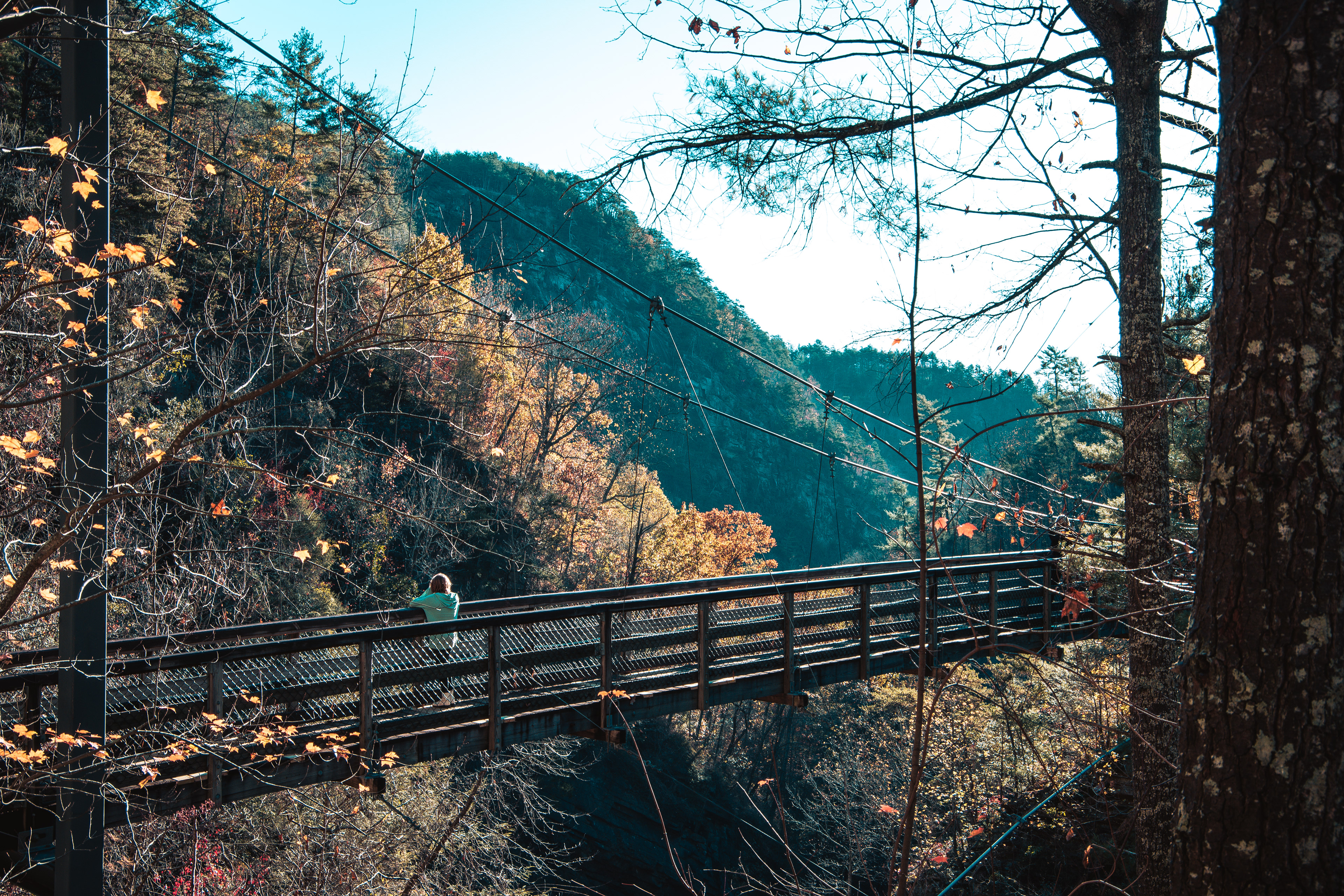 Tallulah Gorge November 2020