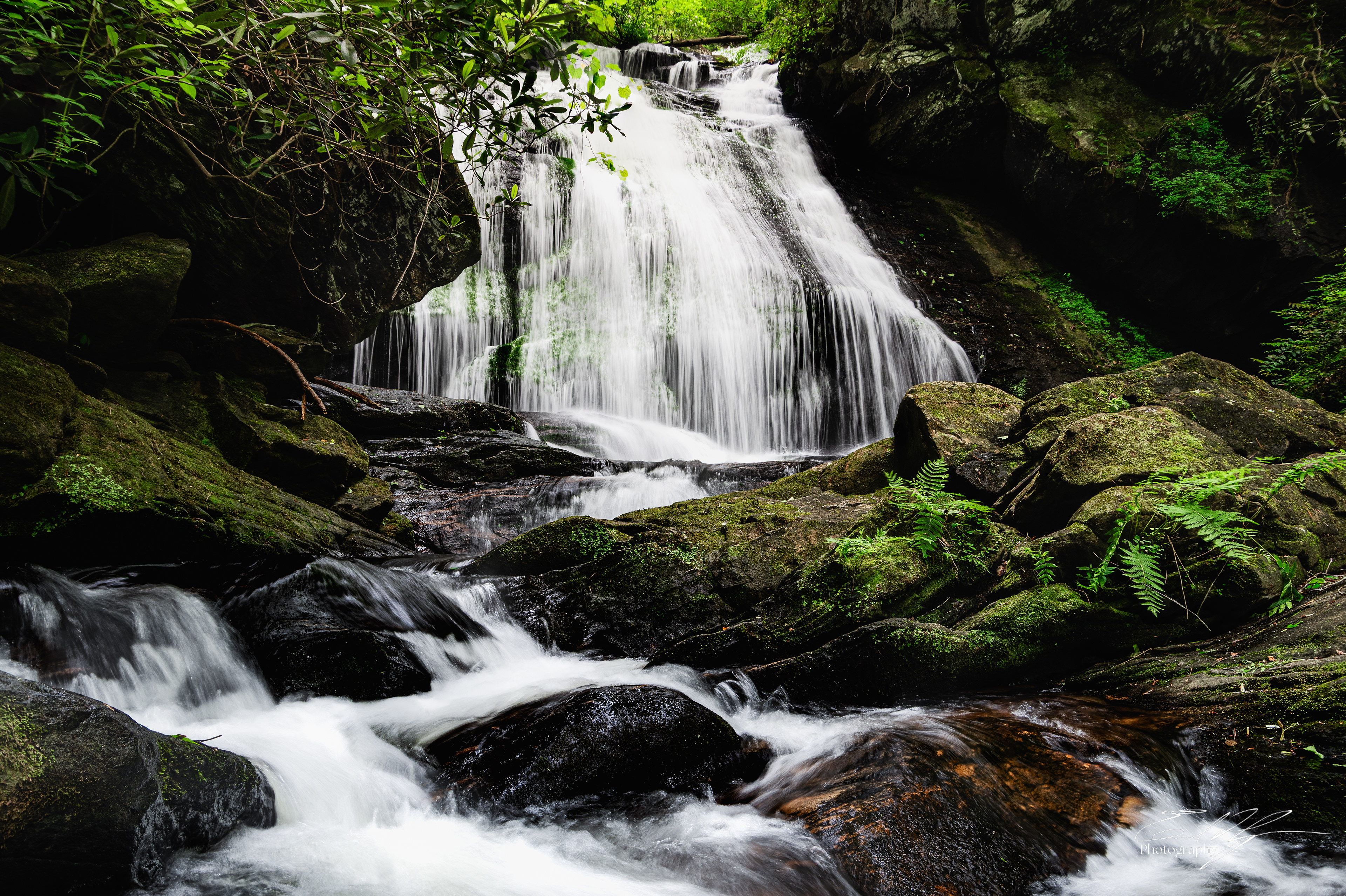 Opossum Creek Falls May 2025   VI