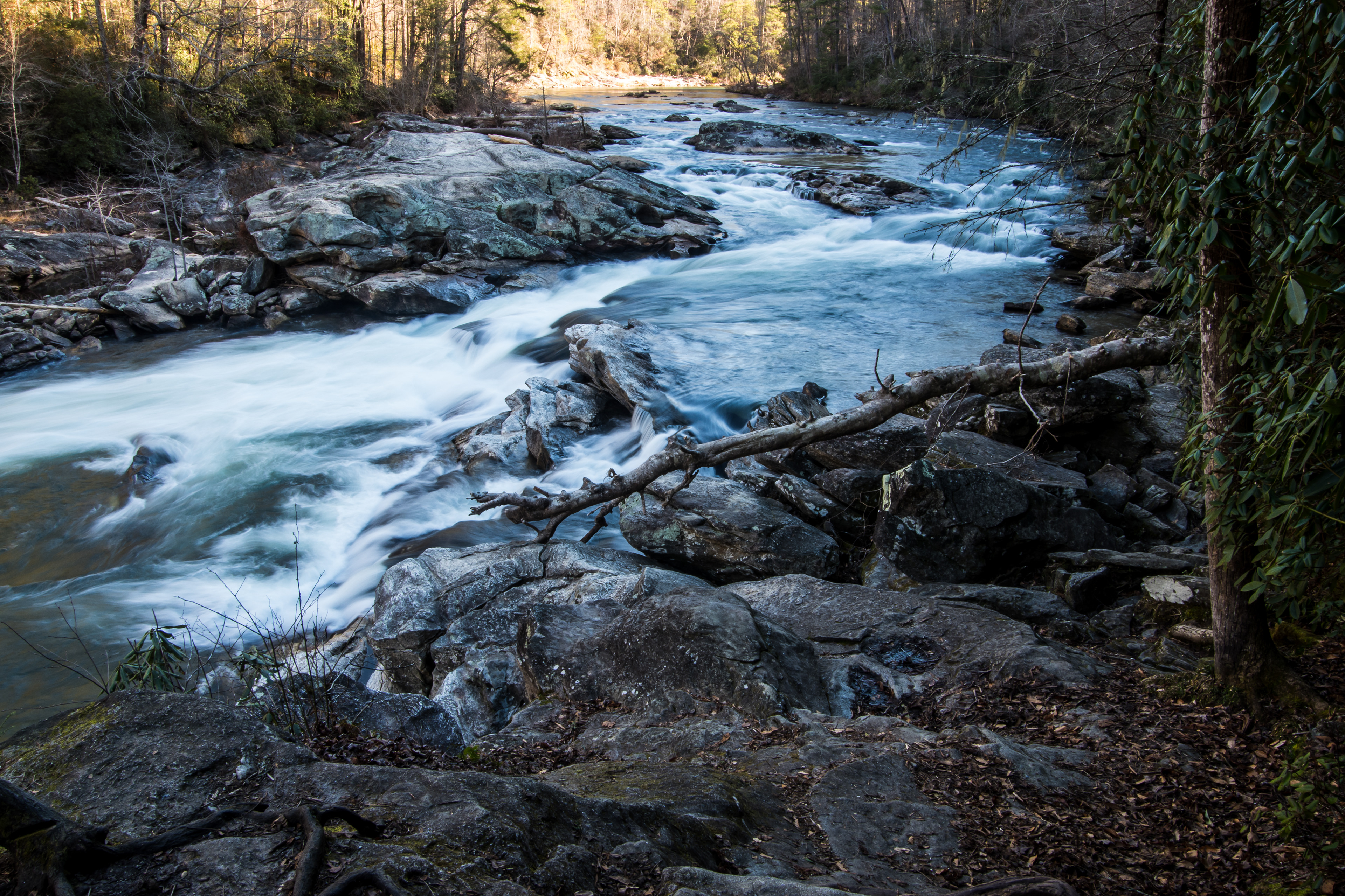 Bull Sluice March 2021   II