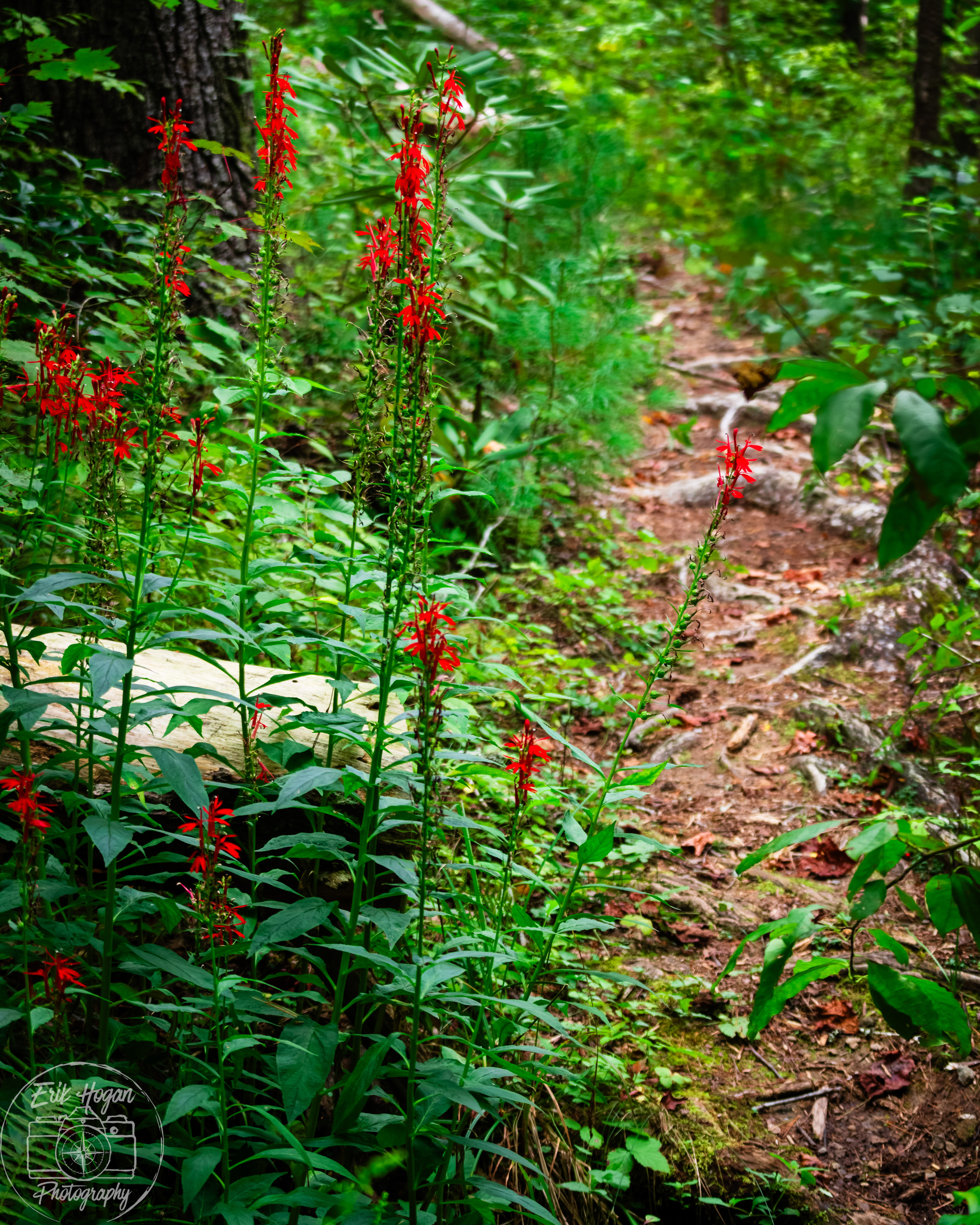 September 2024   III