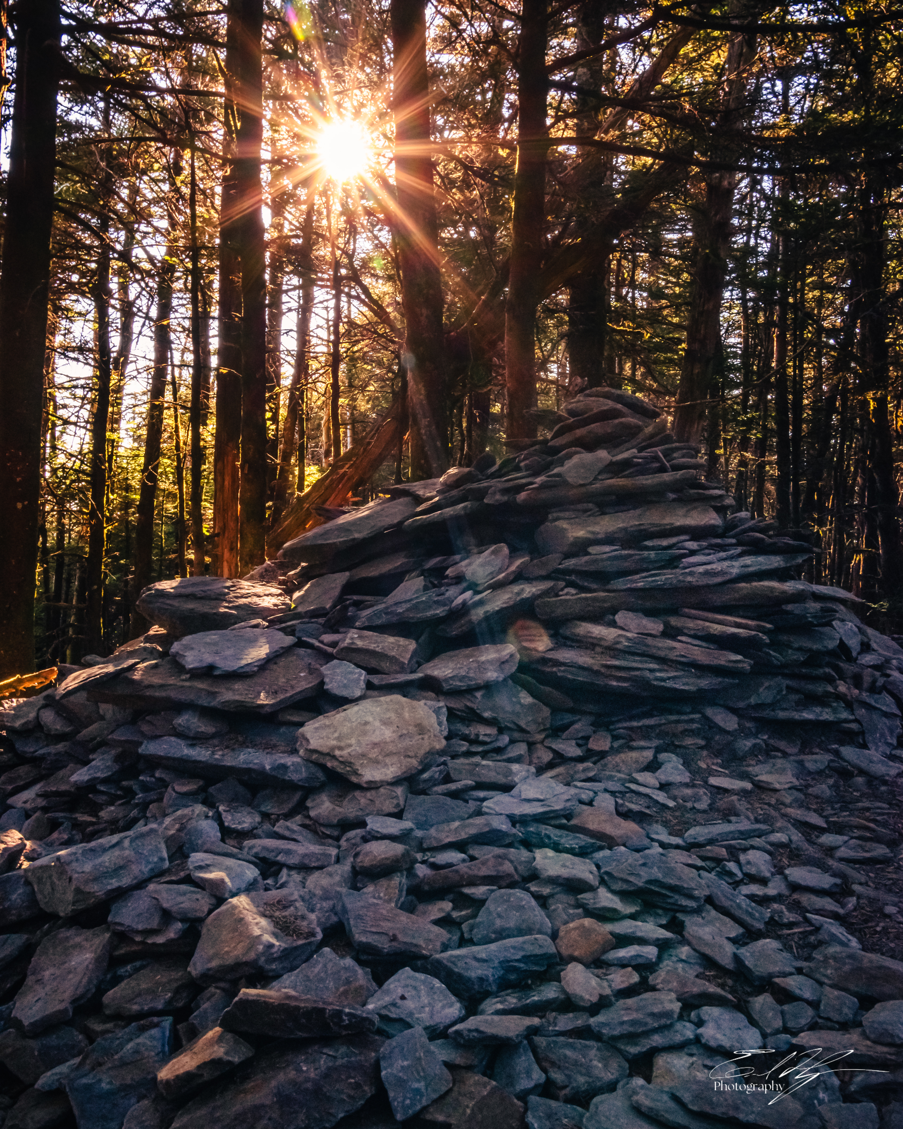 Mount LeConte October 2024   V
