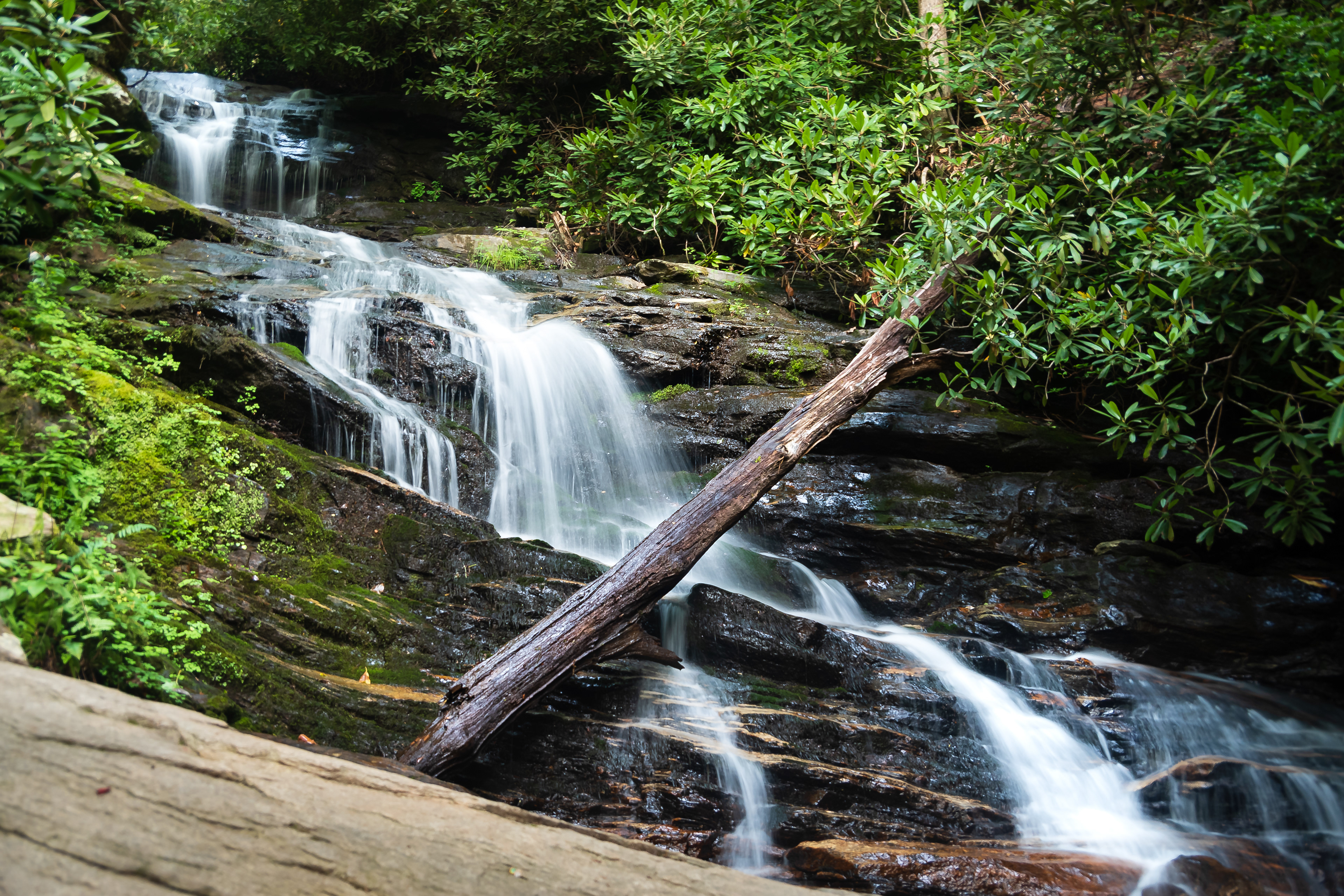 Becky Branch Falls July 2021