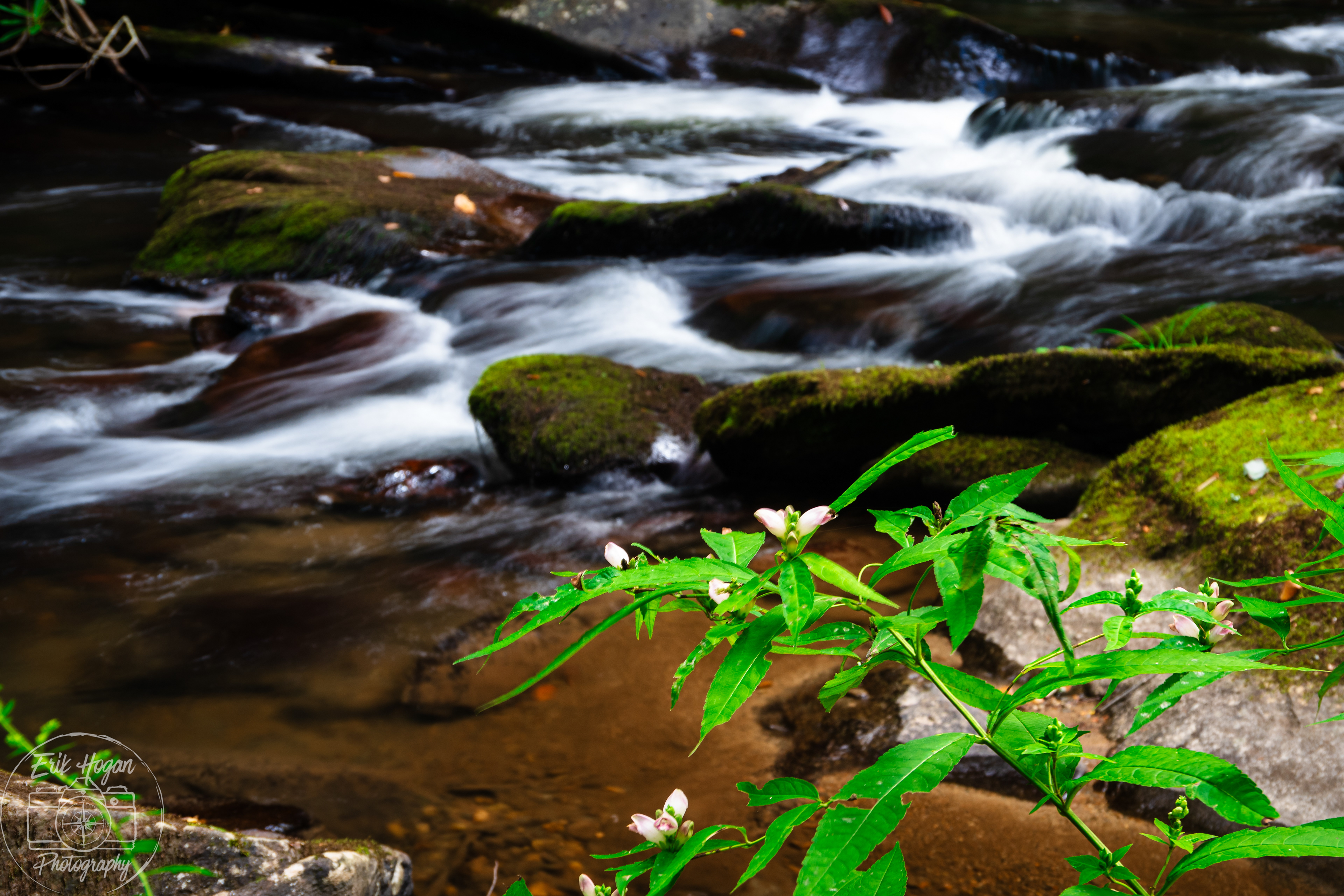 Jack's River September 2024   I