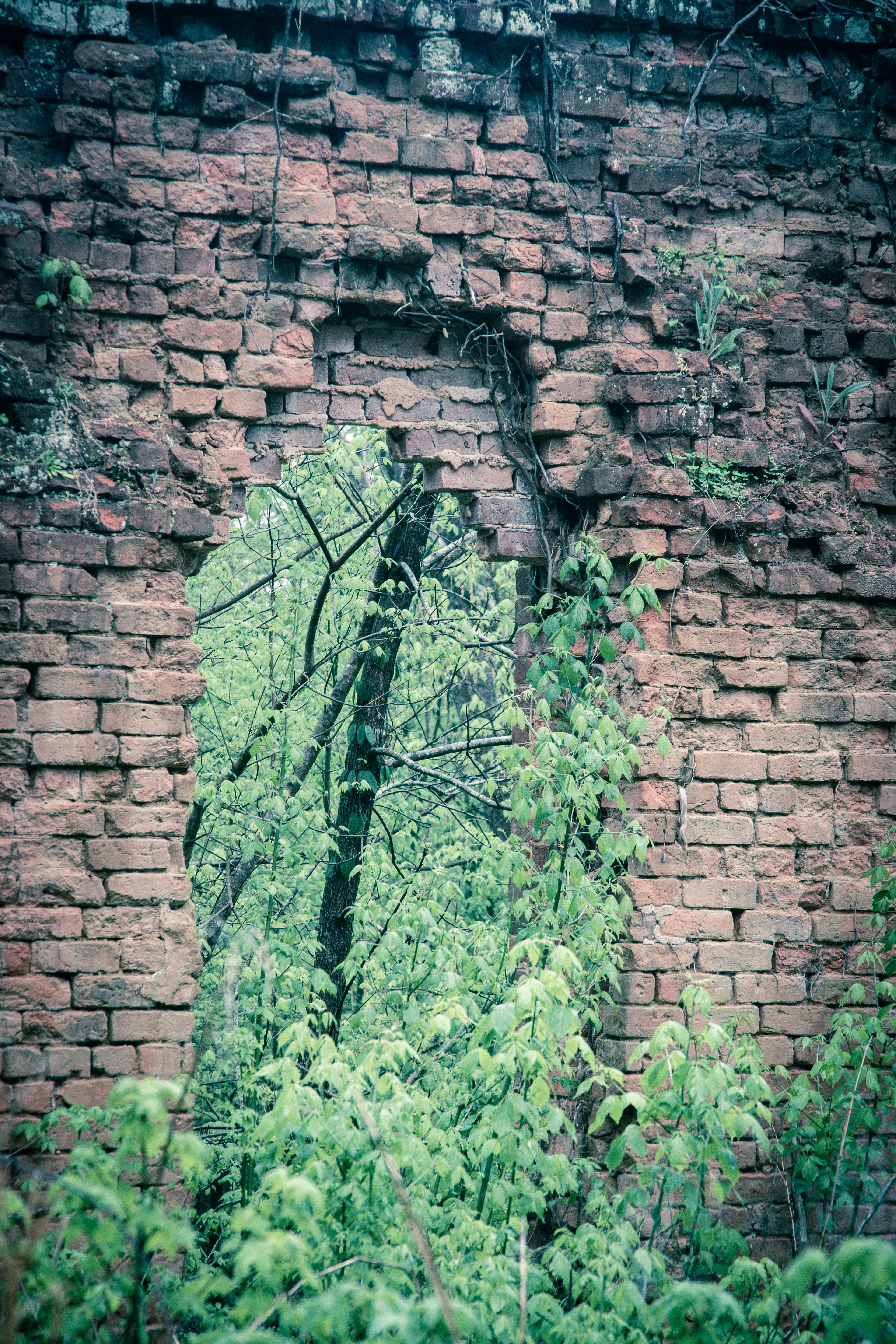 Scull Shoals April 2021   III