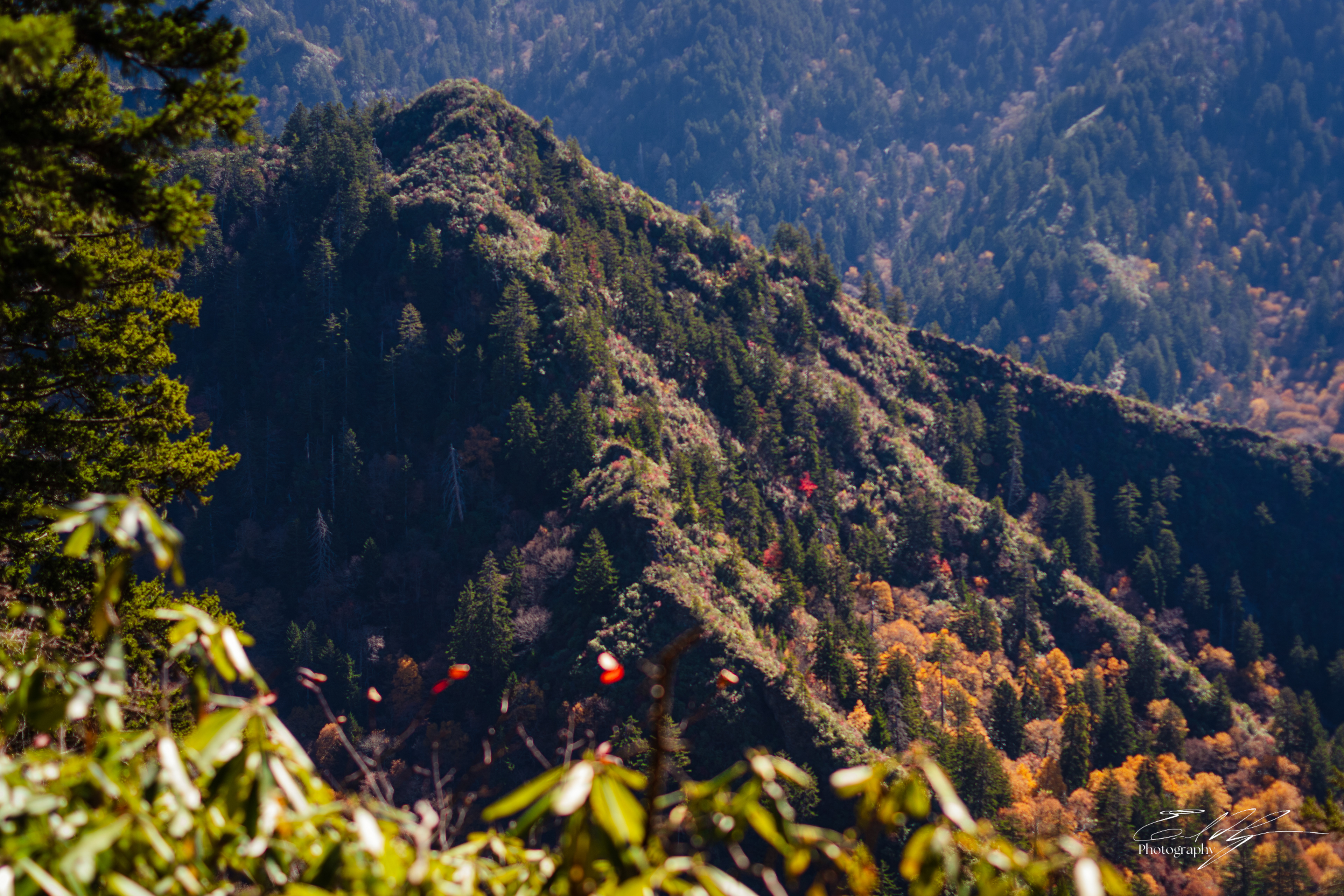 Alum Cave Trail October 2024   IX