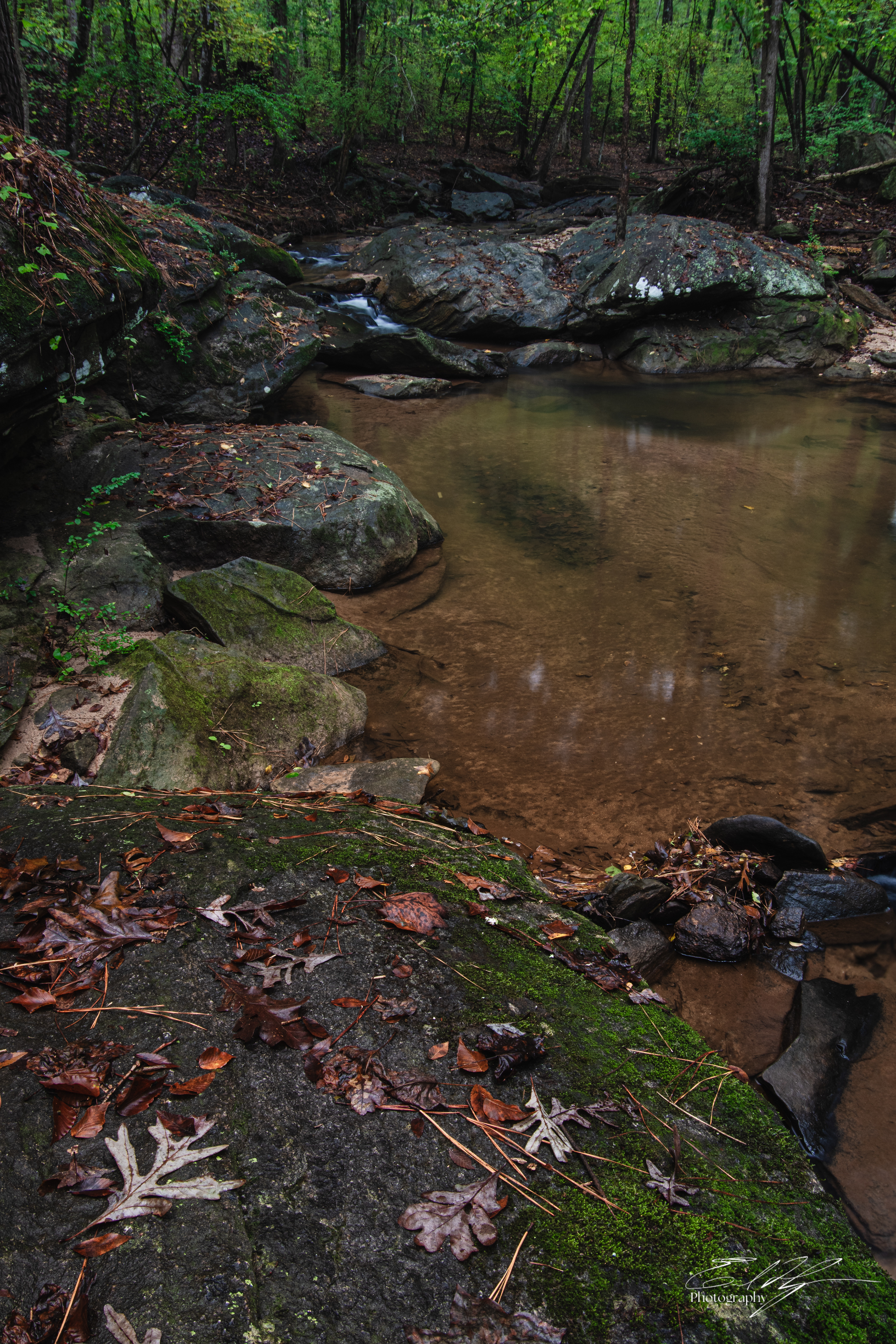 Ben Burton Park October 2025 VI