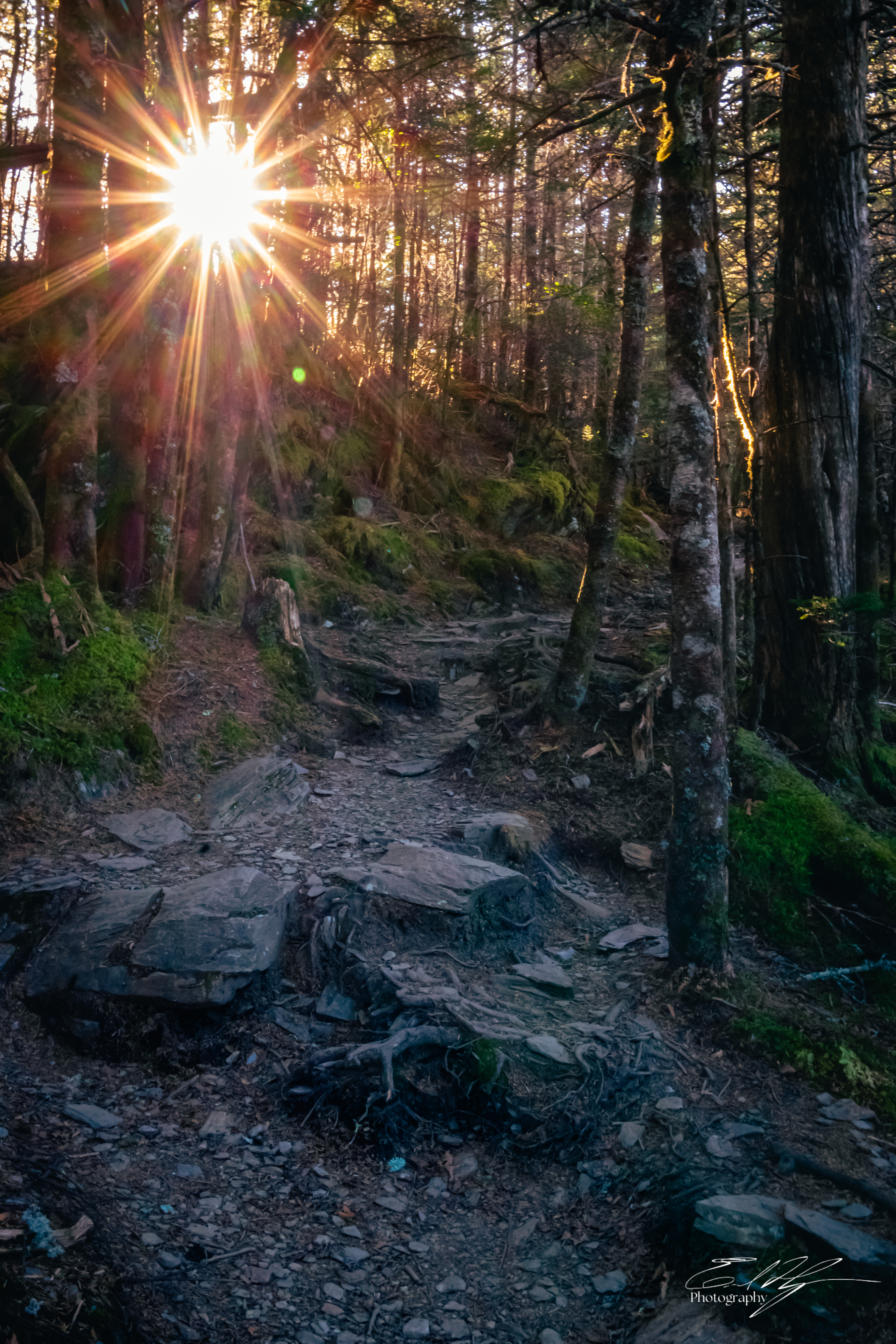 Mount LeConte October 2024   III