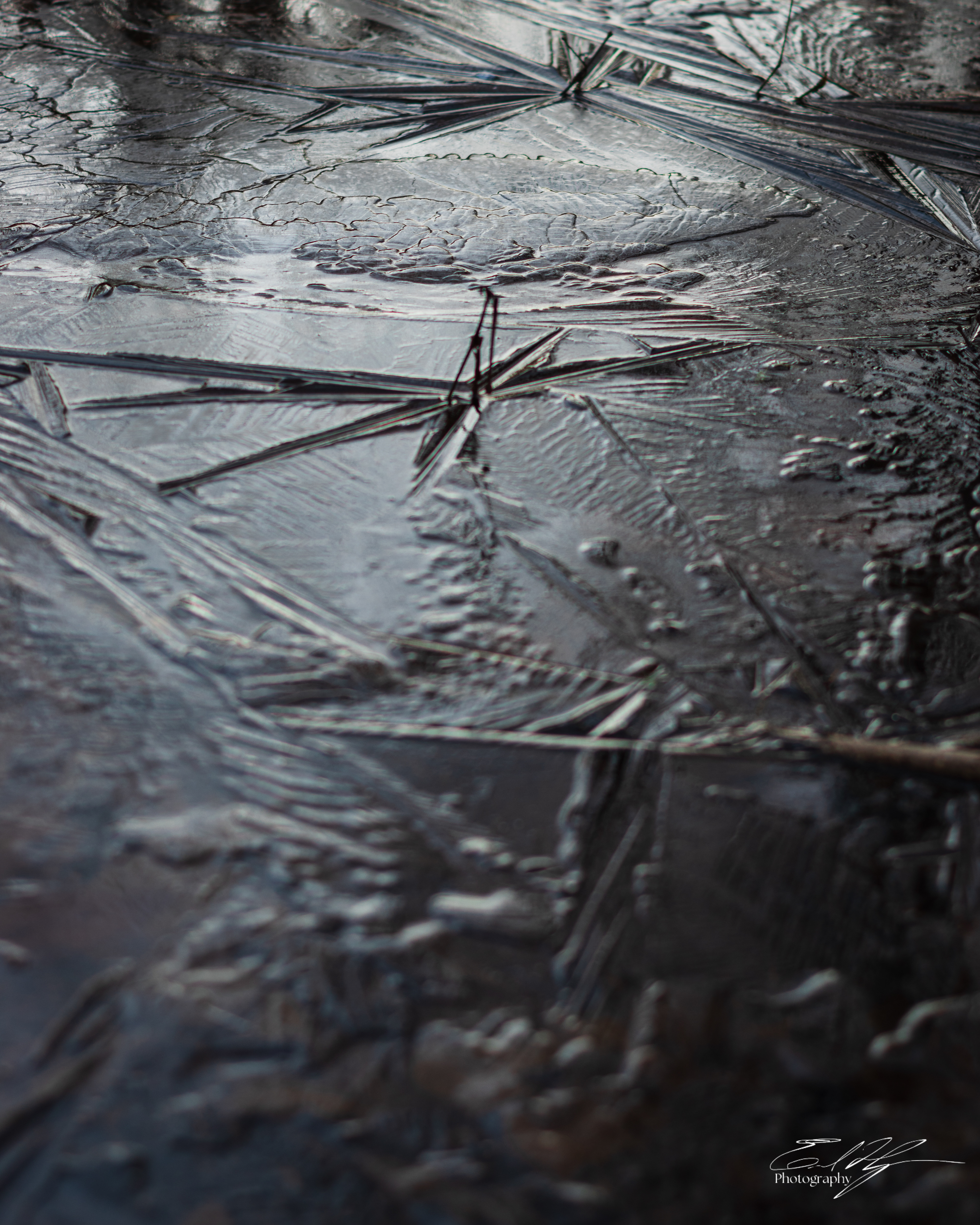 Sandy Creek Ice Portrait   I