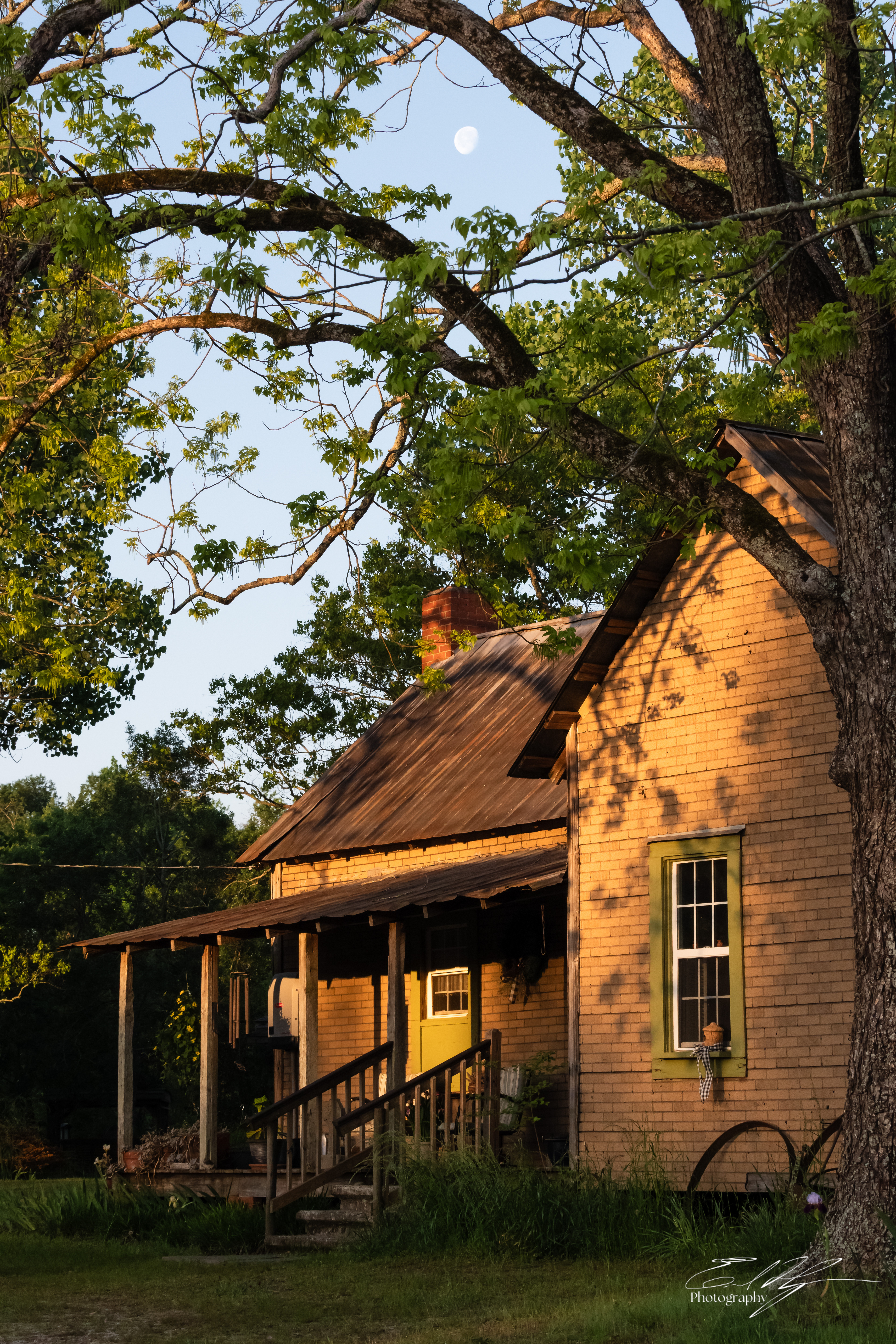 Green Bough House of Prayer April 2025   XI
