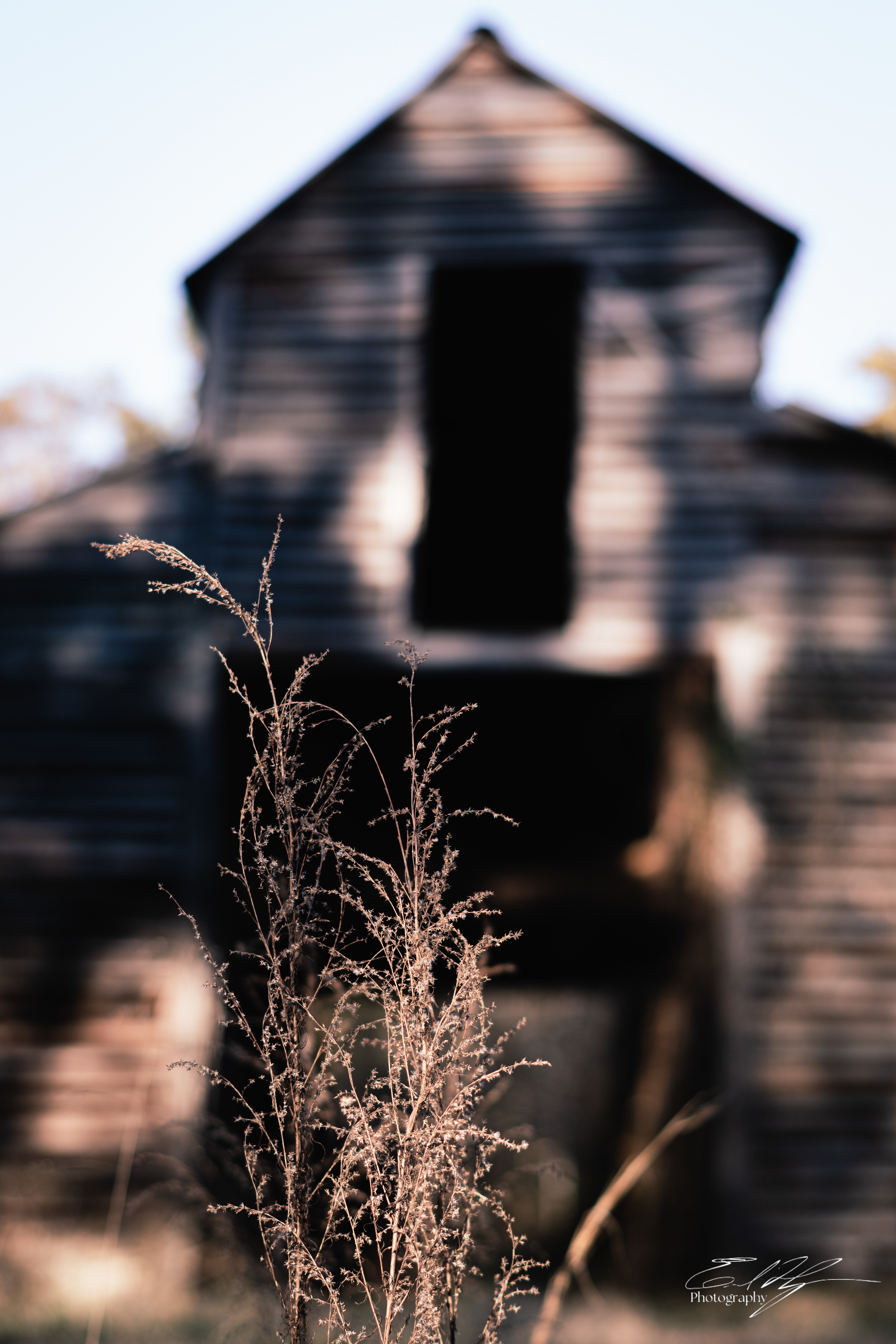 Wabi Sabi Stoic February 2025   I