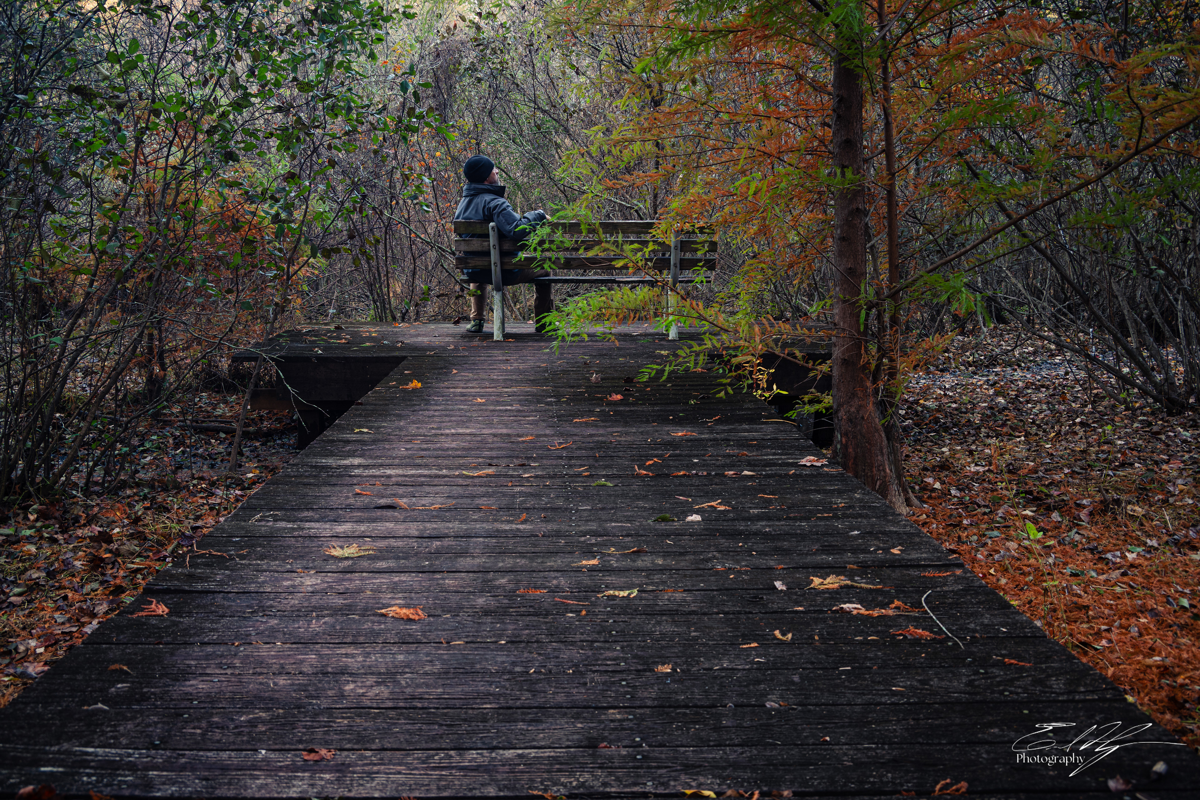 Harris Shoals Park November 2025