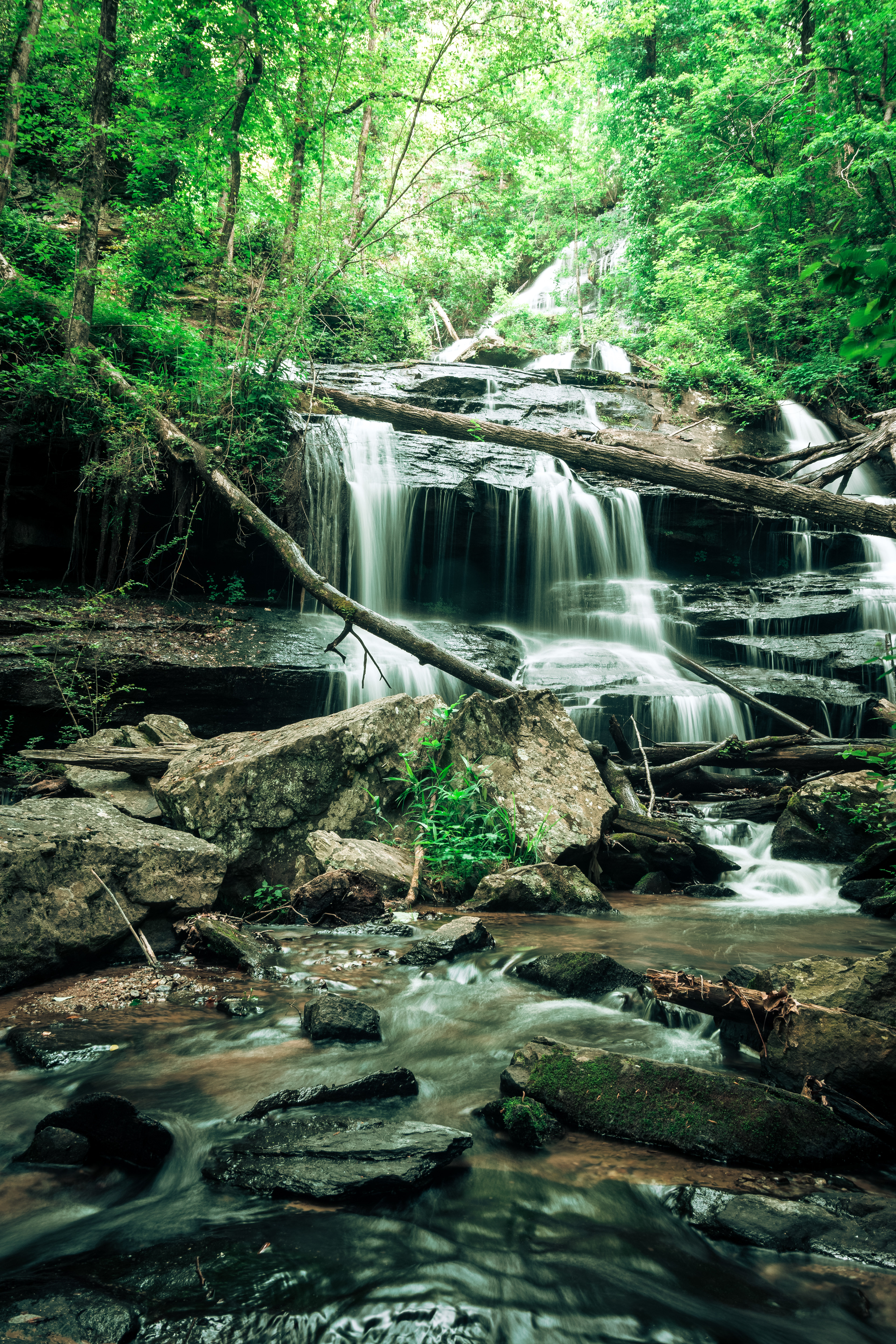 Nancytown Falls May 2021   IV