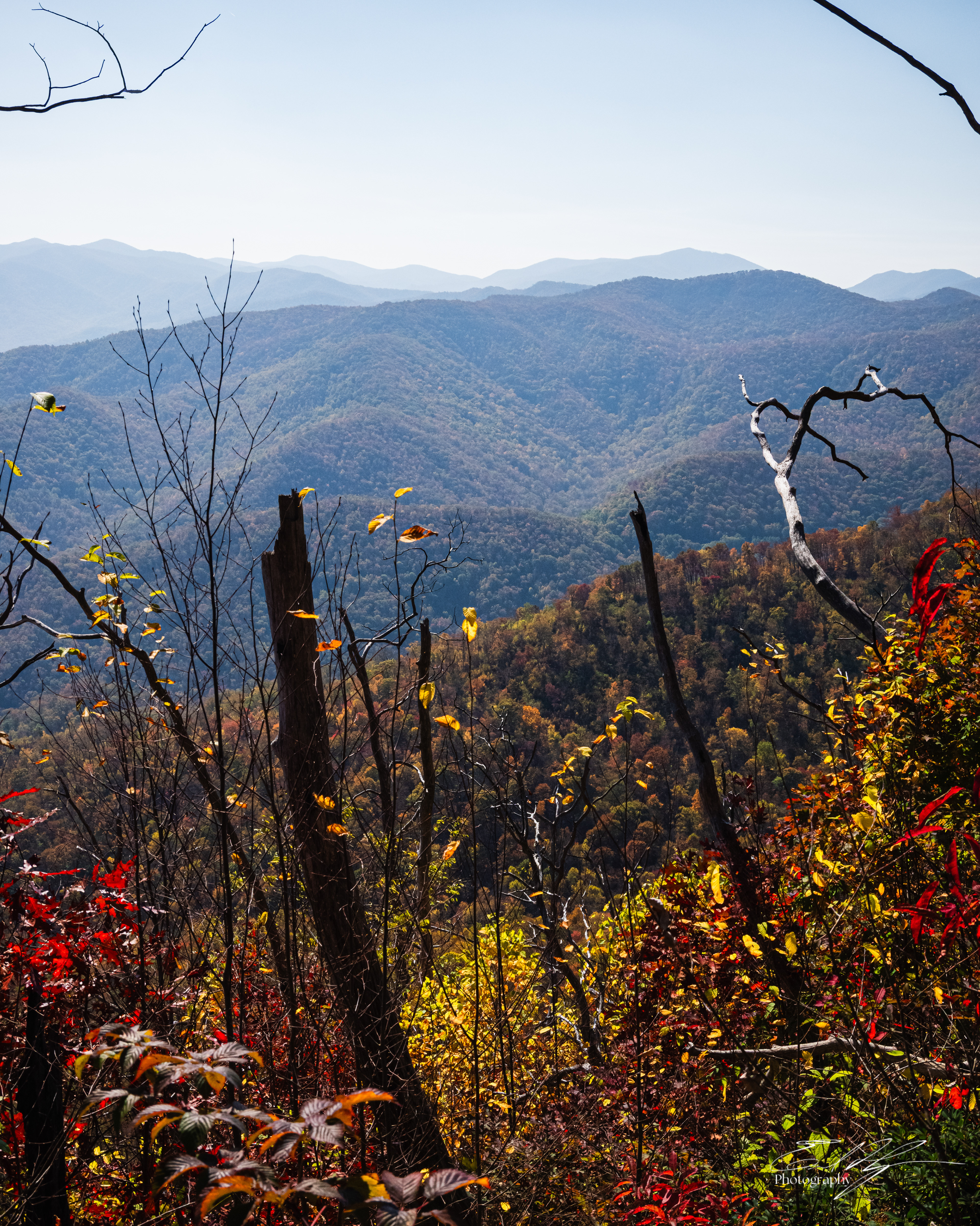 Day 5  Appalachia III