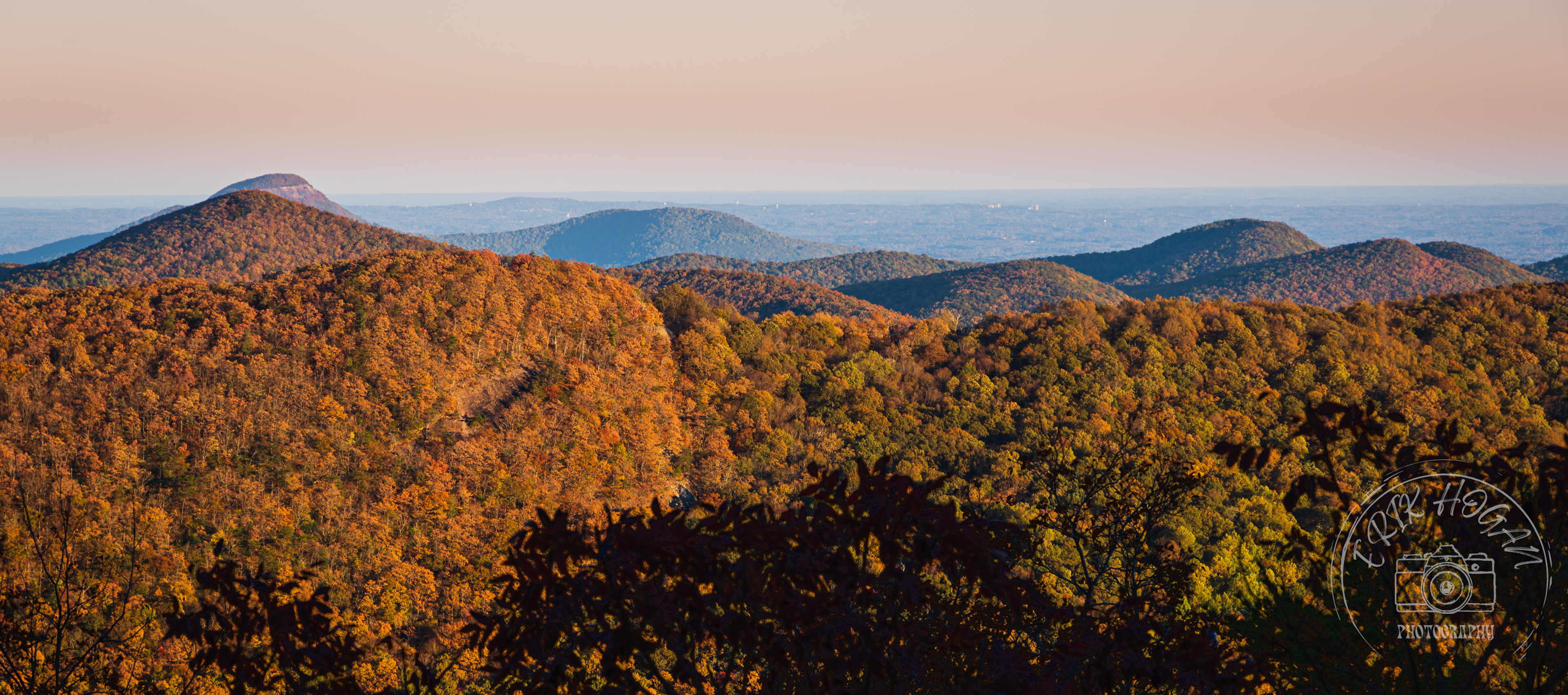 Wolf Laurel Top October 2022   IV