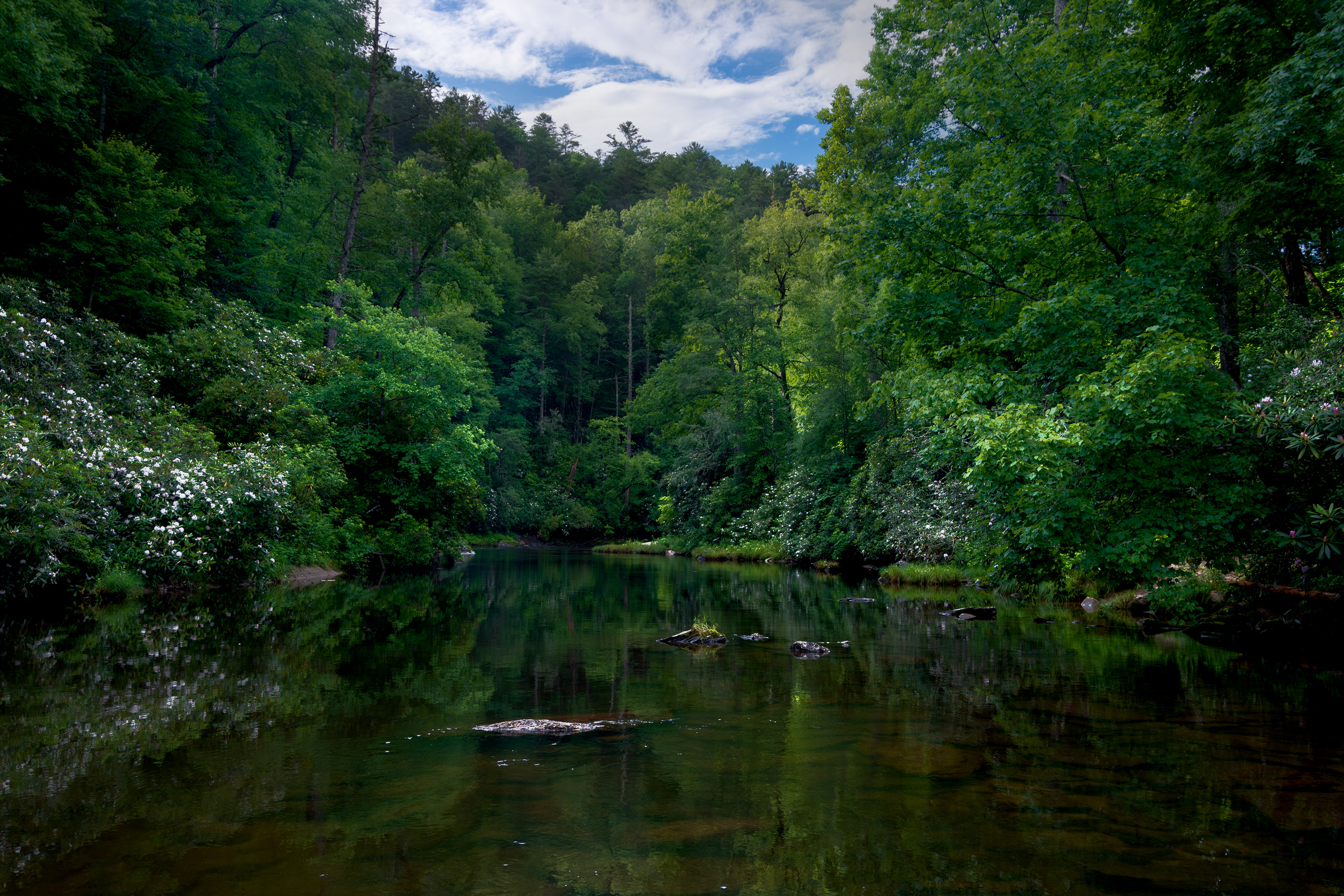Ellicott Rock Wilderness July 2022   IV
