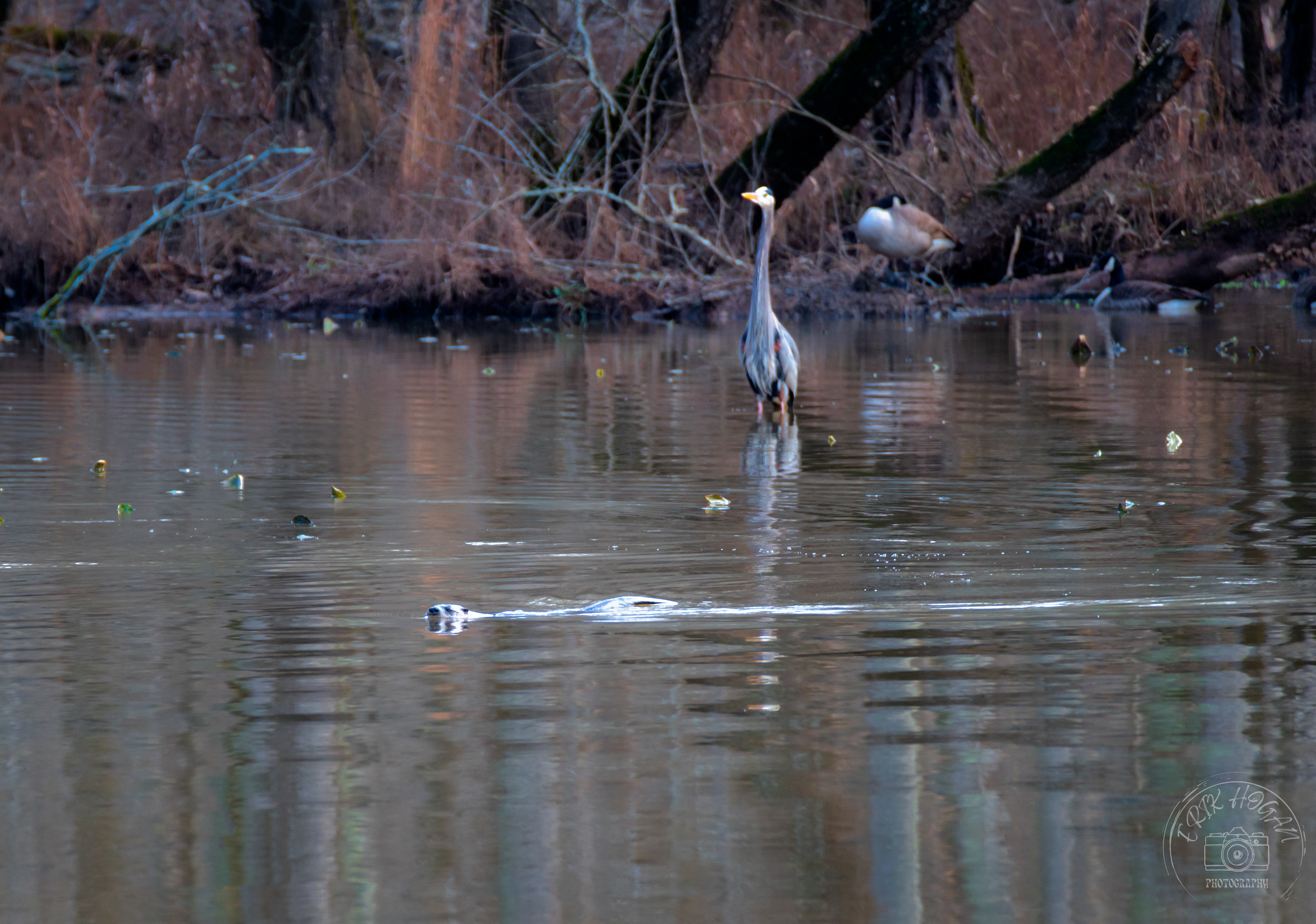 Sandy Creek Nature Center January 2022   VI