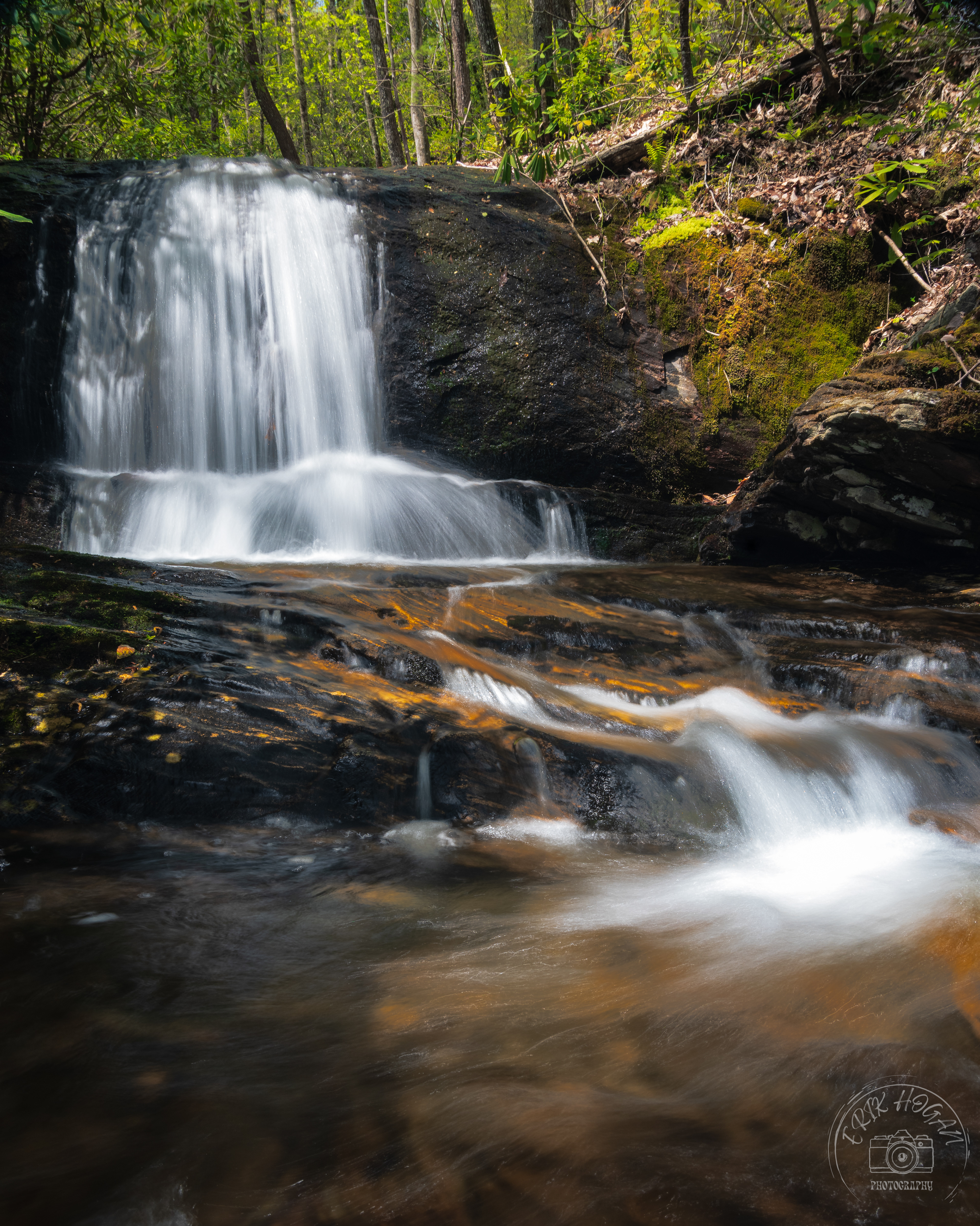 Uppper Dodd Creek Falls April 2023