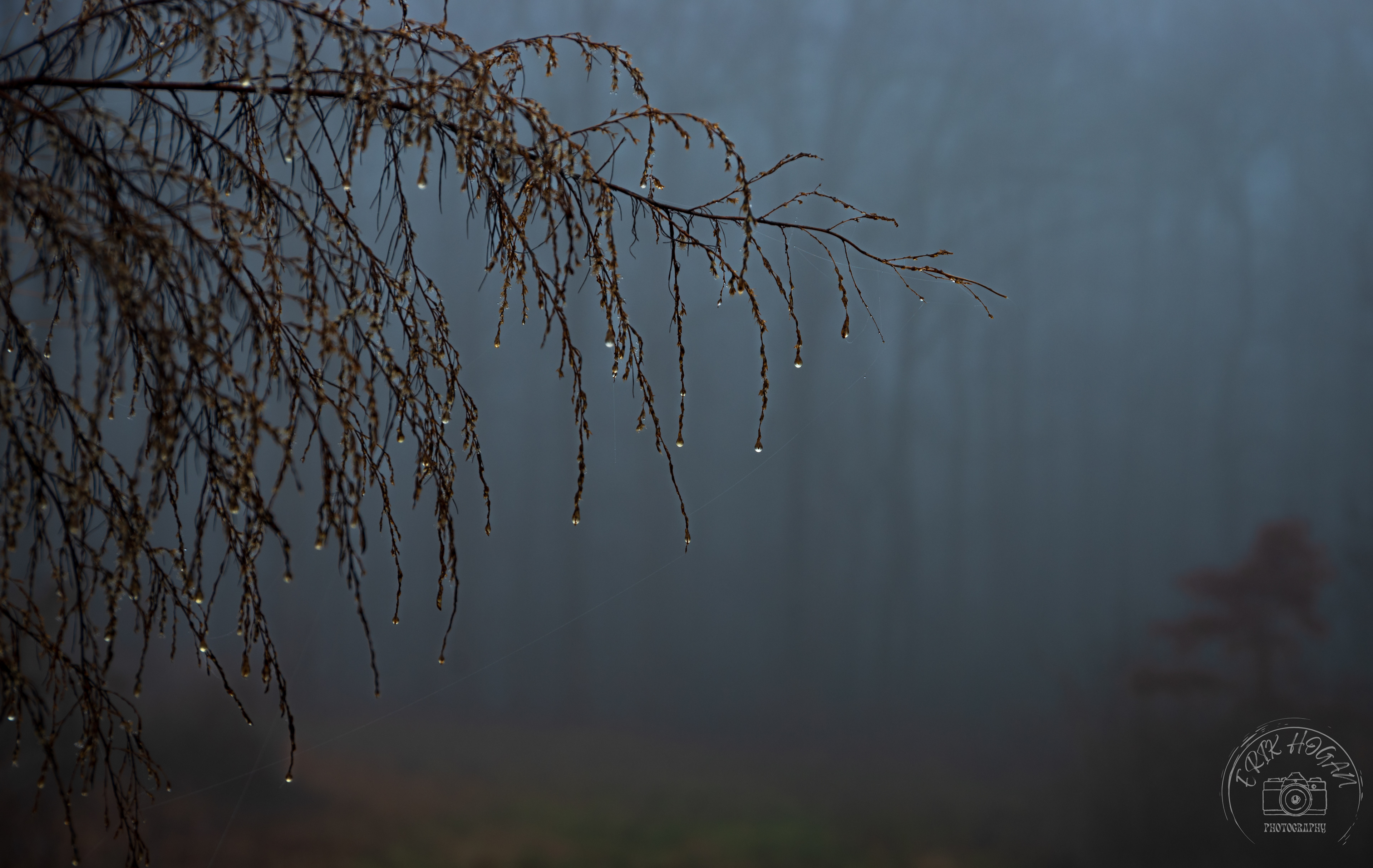 Morton Rd January 2023   II