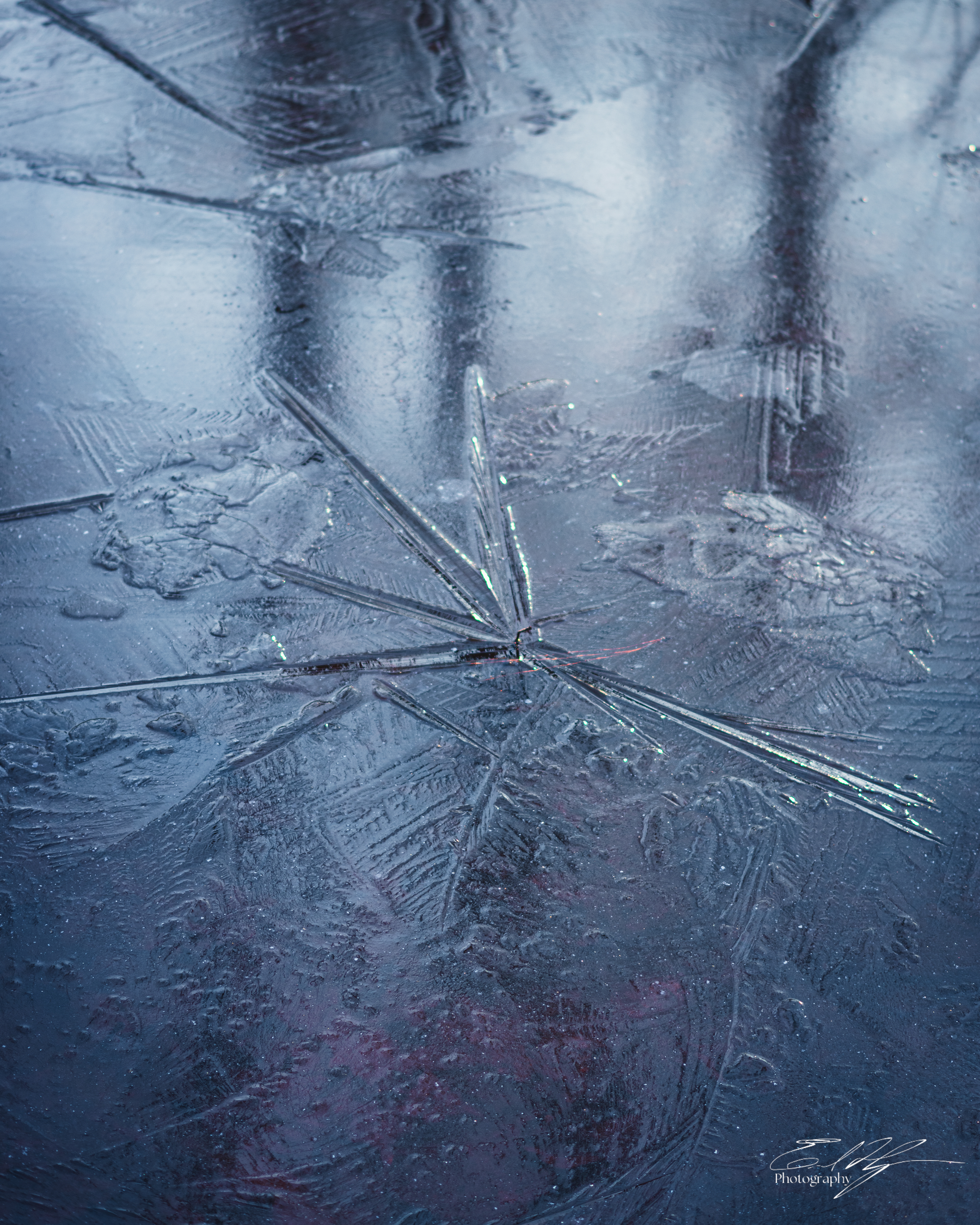 Sandy Creek Ice Portrait   X