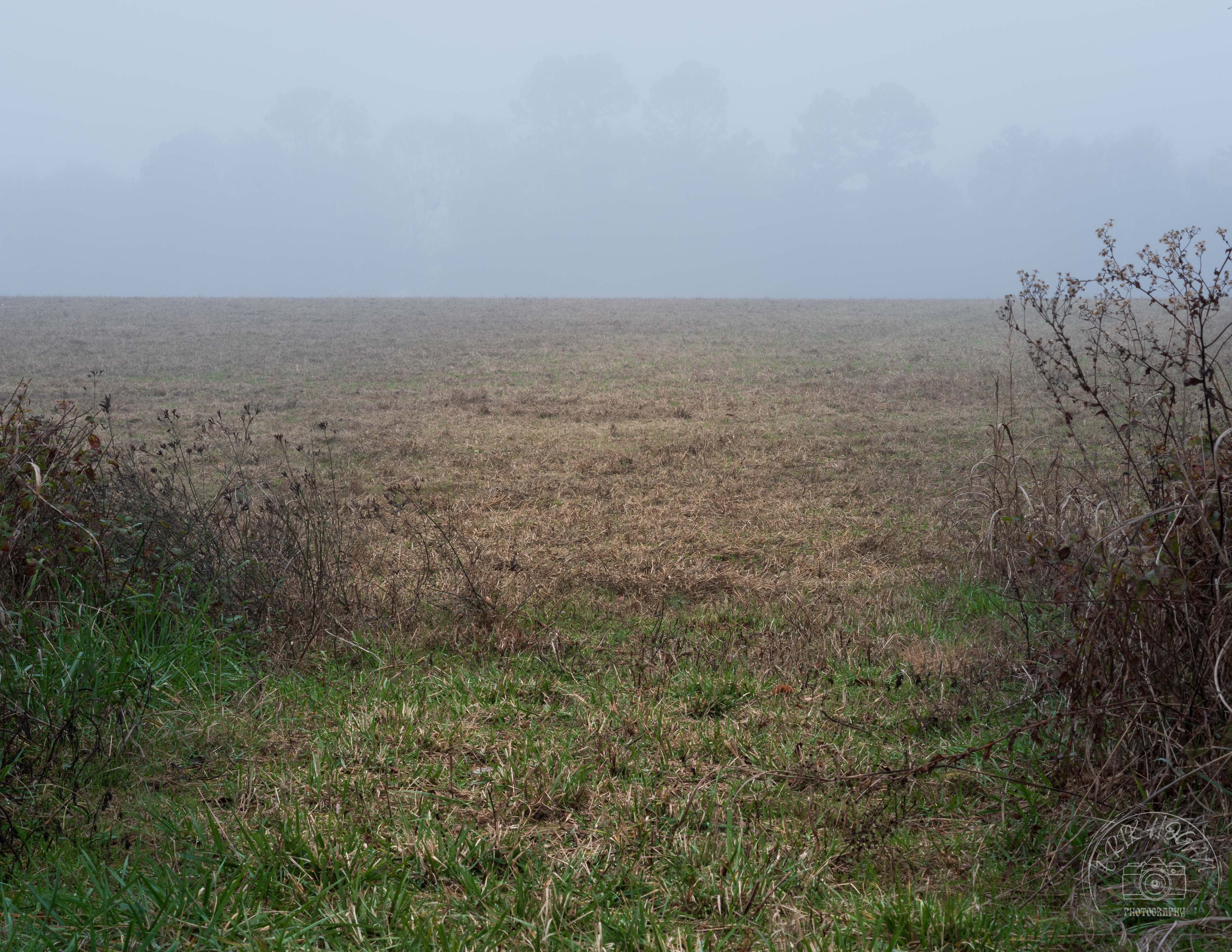 Athens Fog December 2023   I