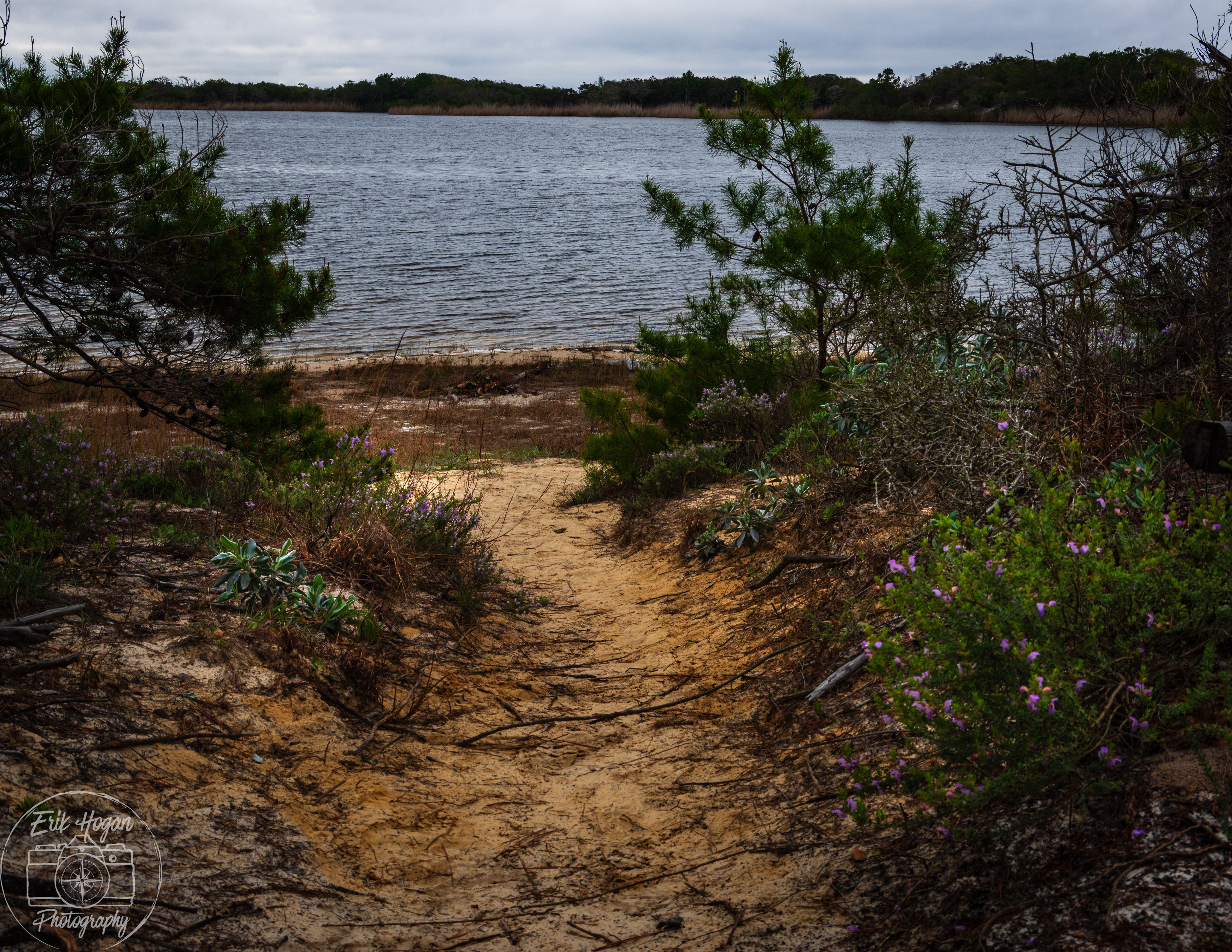 Topsail Hill Preserve State Park March 2024   I