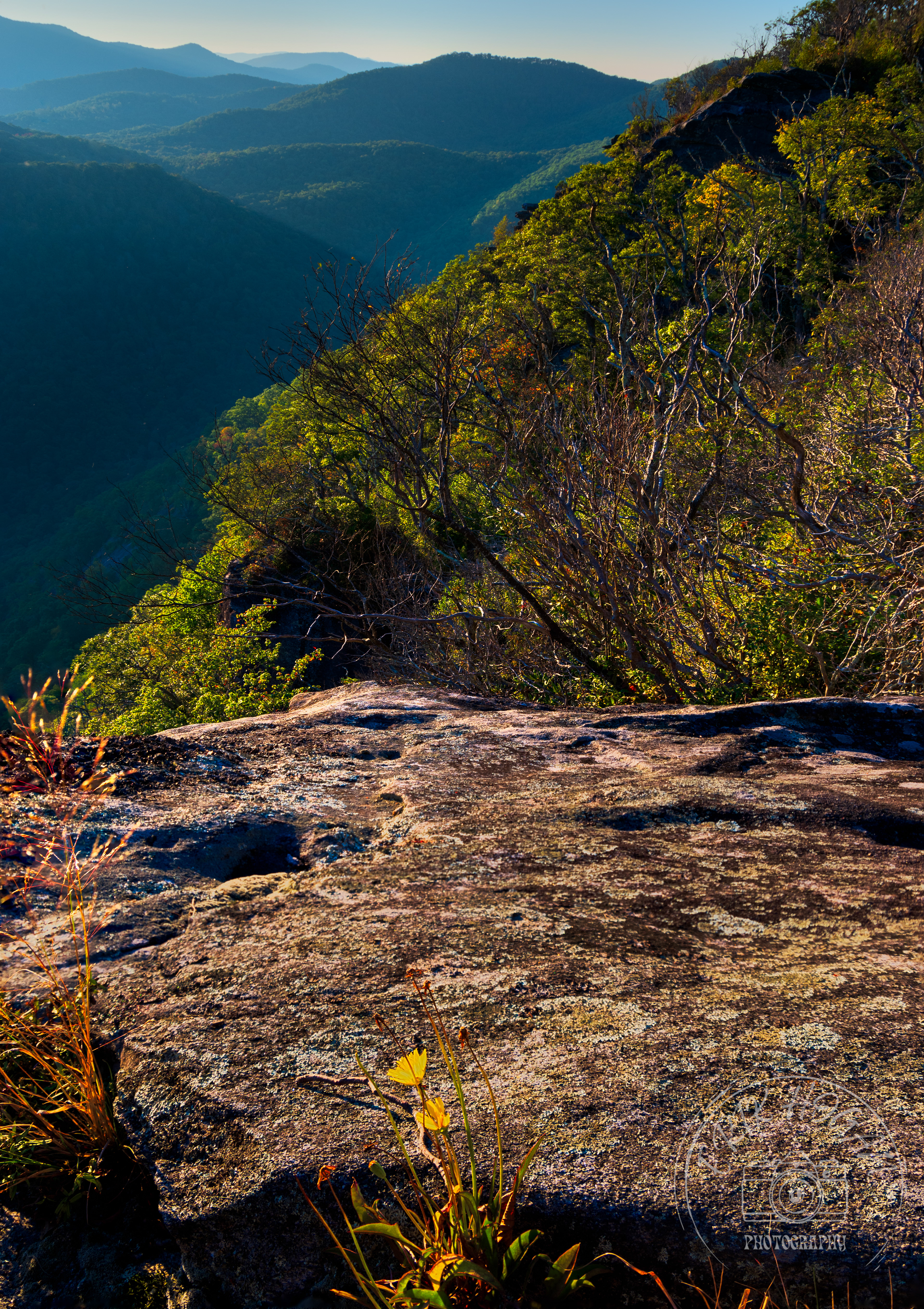 Southern Nantahala NF September 2022   II