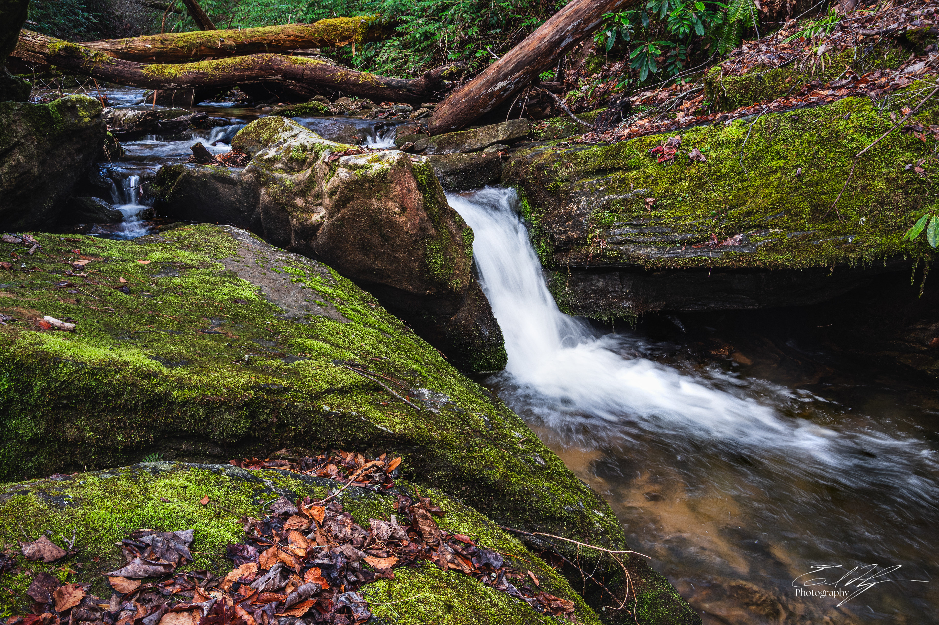 Camp Creek February 2026 IV