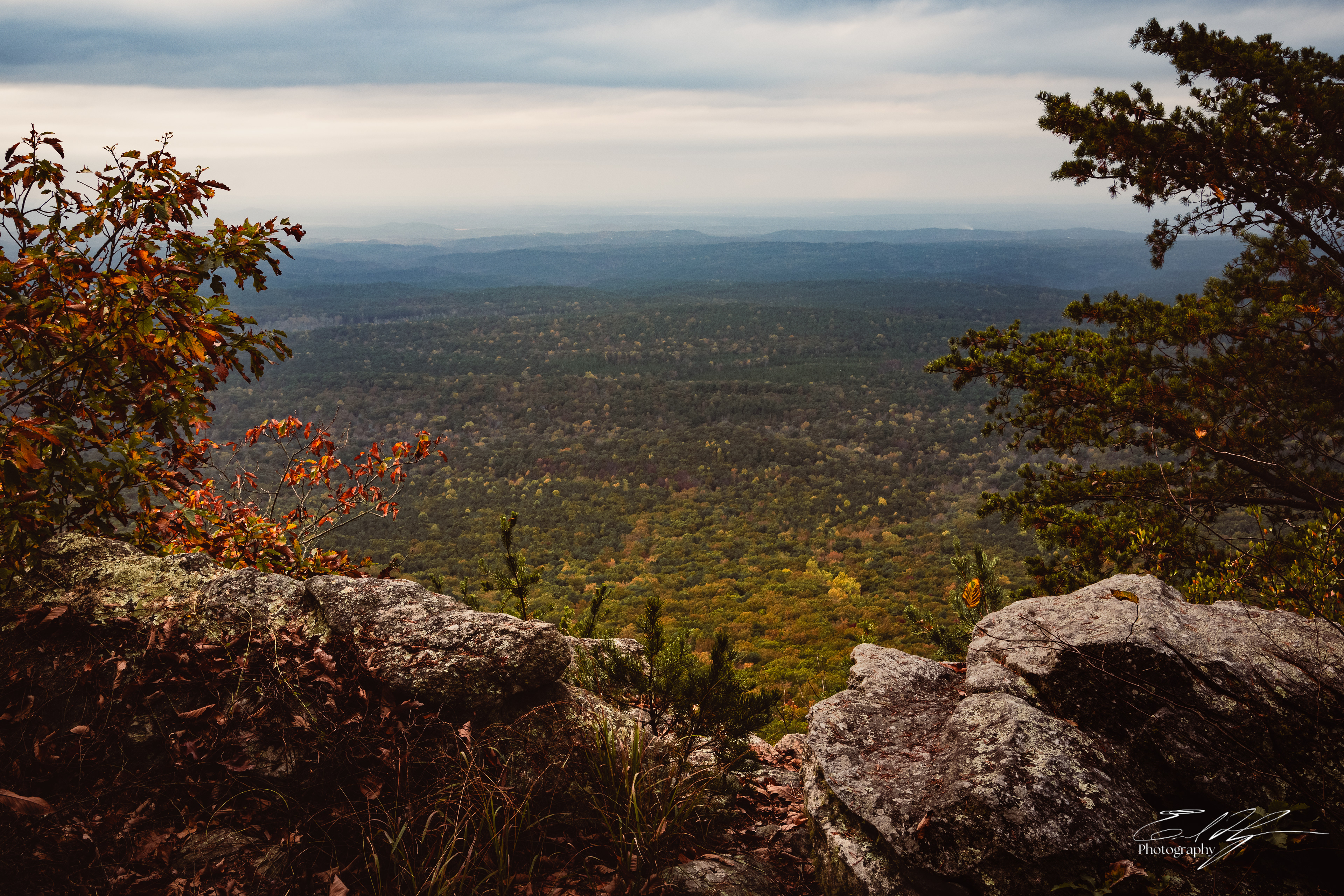Pin-Chin-Sky Loop November 2024   VII