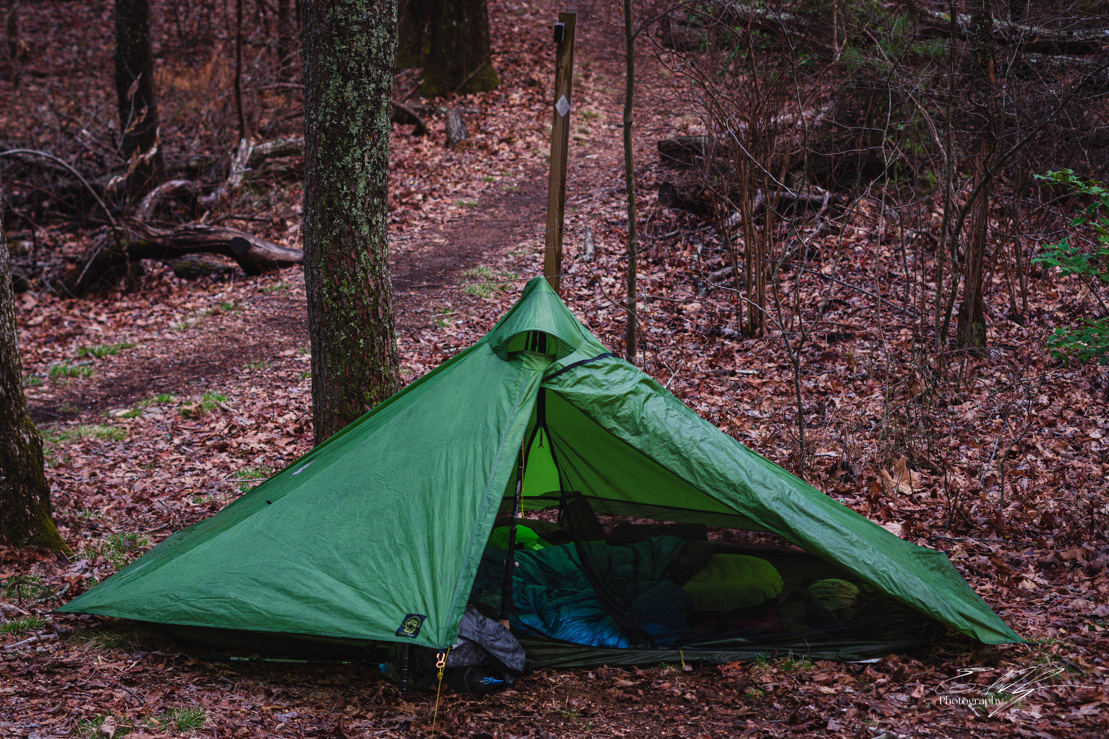 Benton MacKaye Trail 2025   III