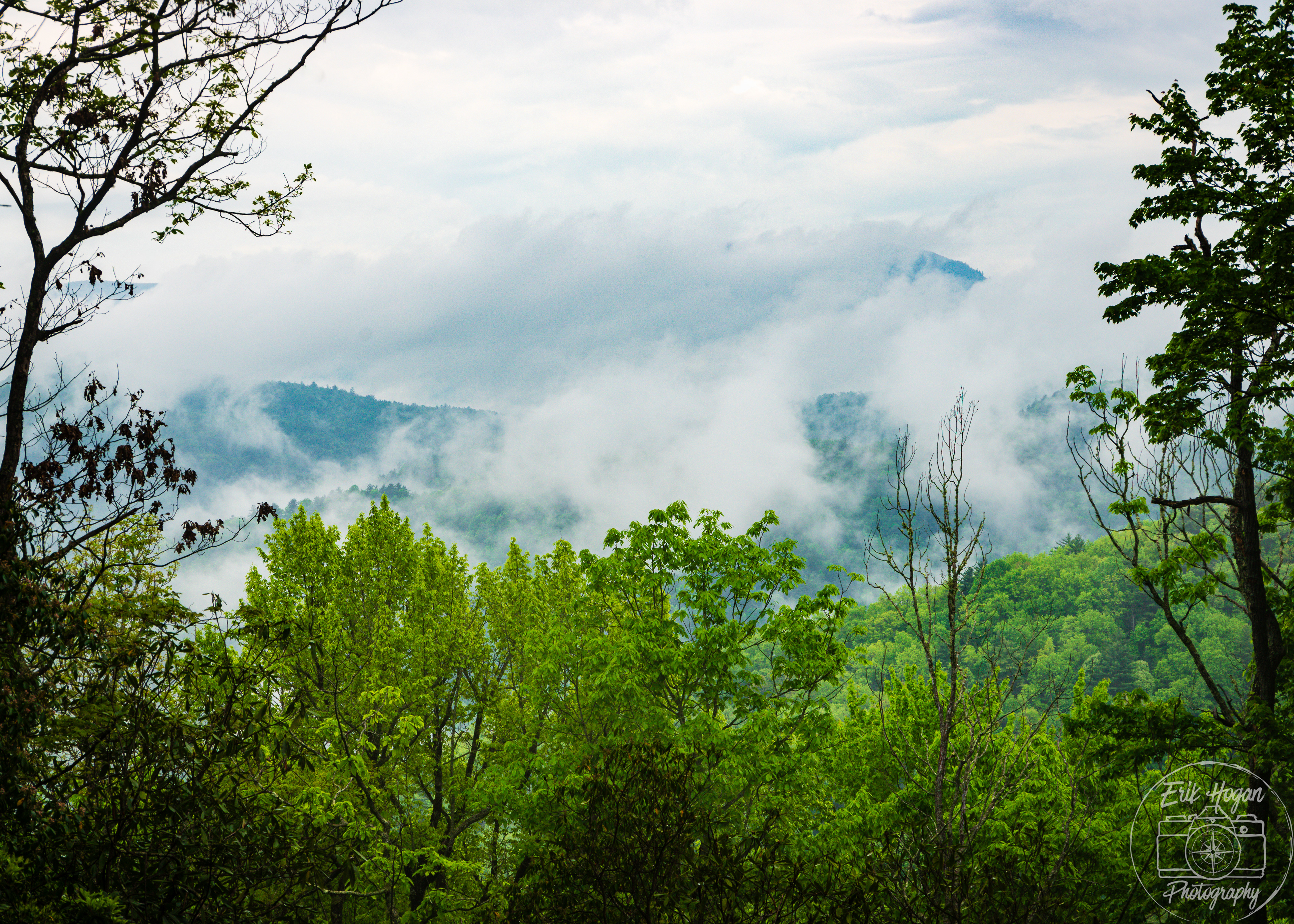 Whiteside Mountain Overlook May 2024