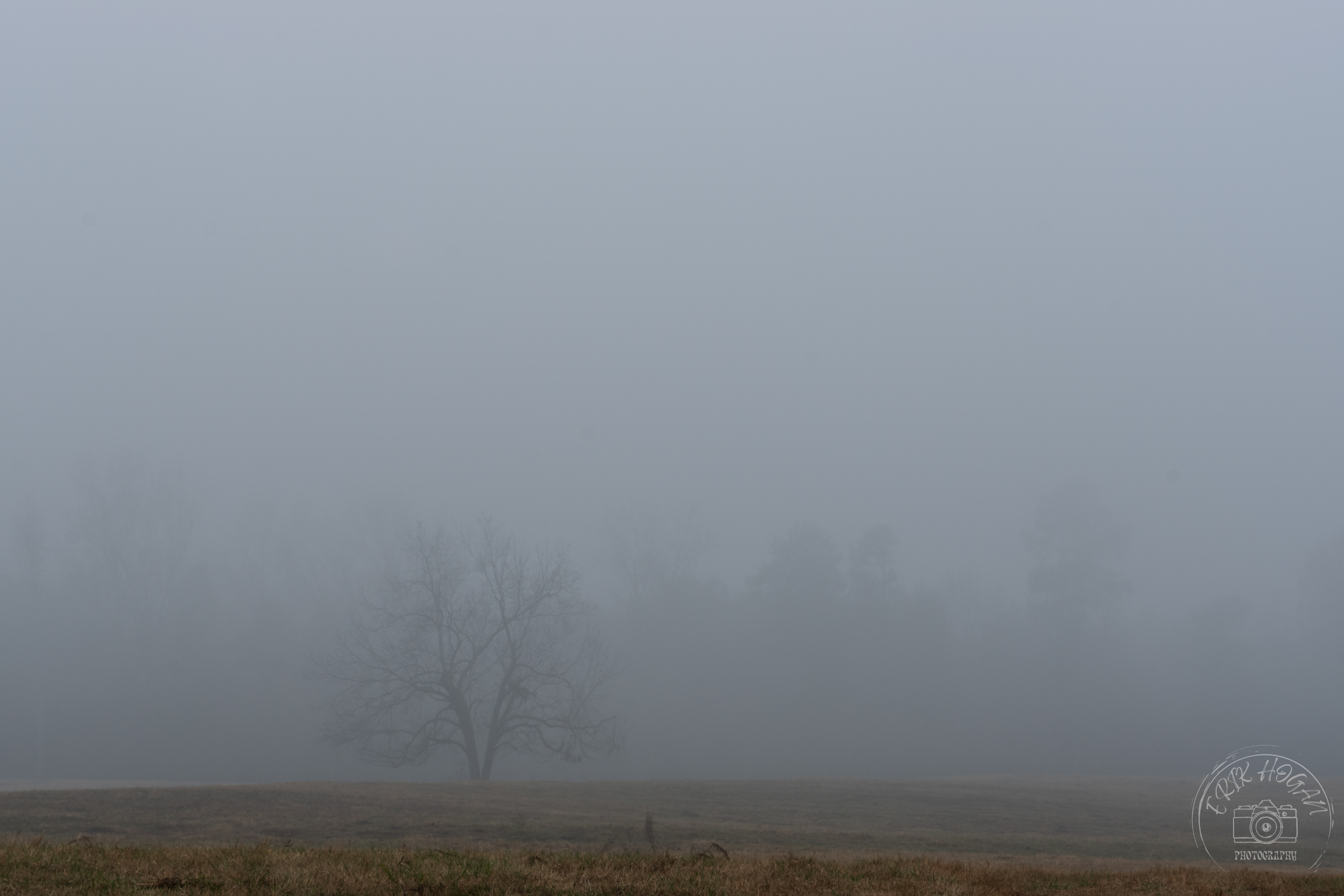 Athens Fog December 2023   IV