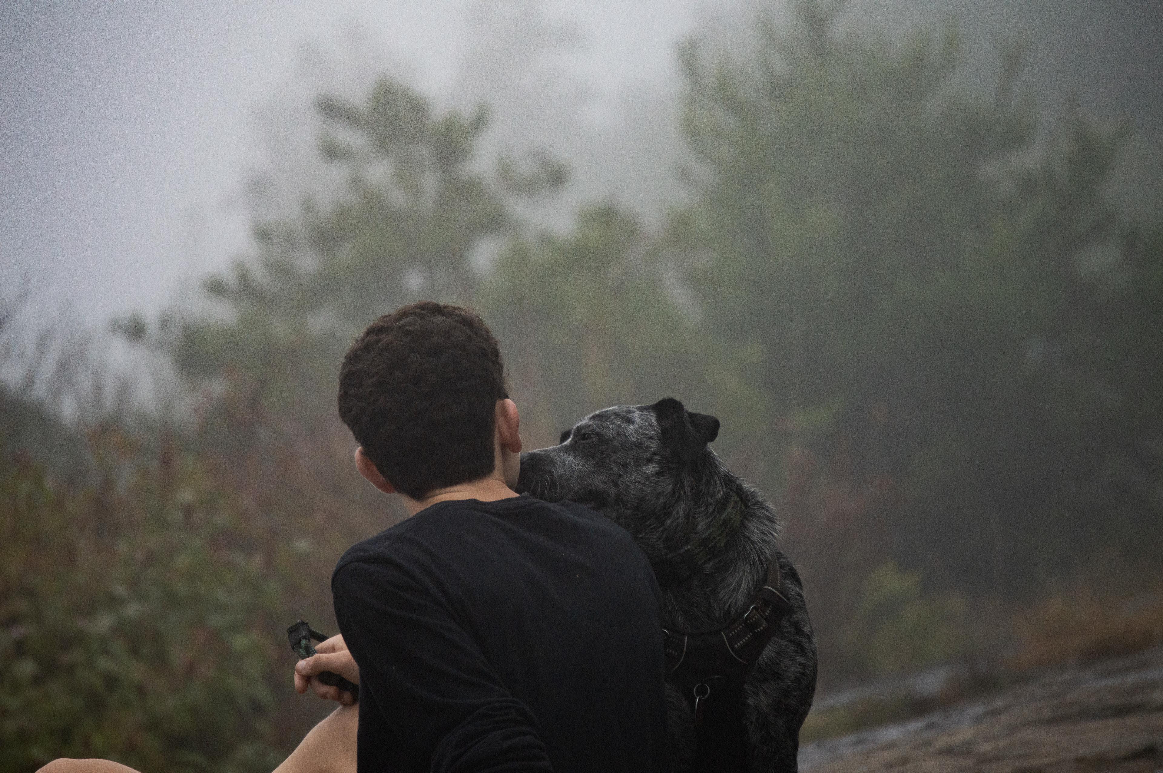 Blood Mountain September 2020   II