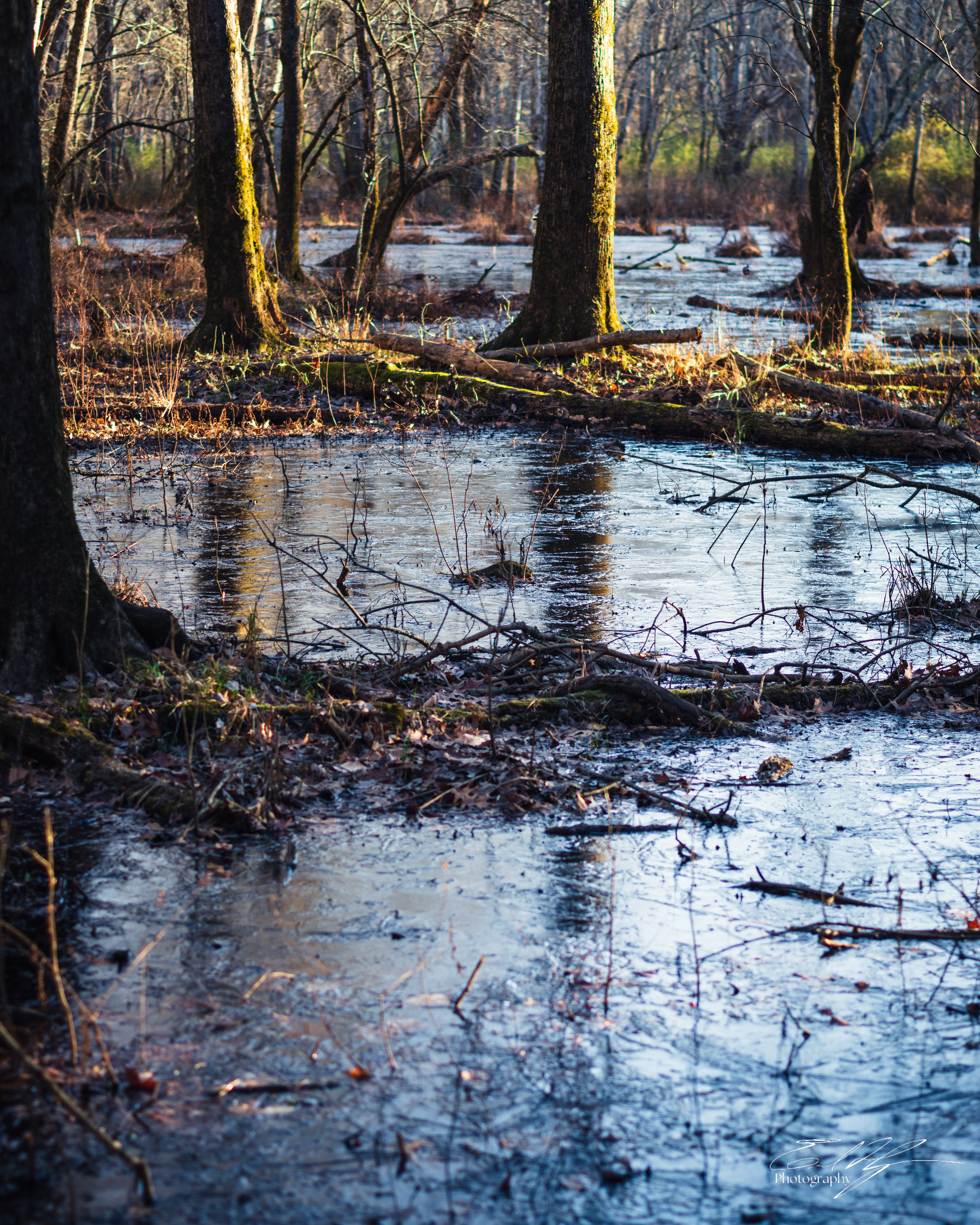 Sandy Creek Nature Center Ice January 2025   II