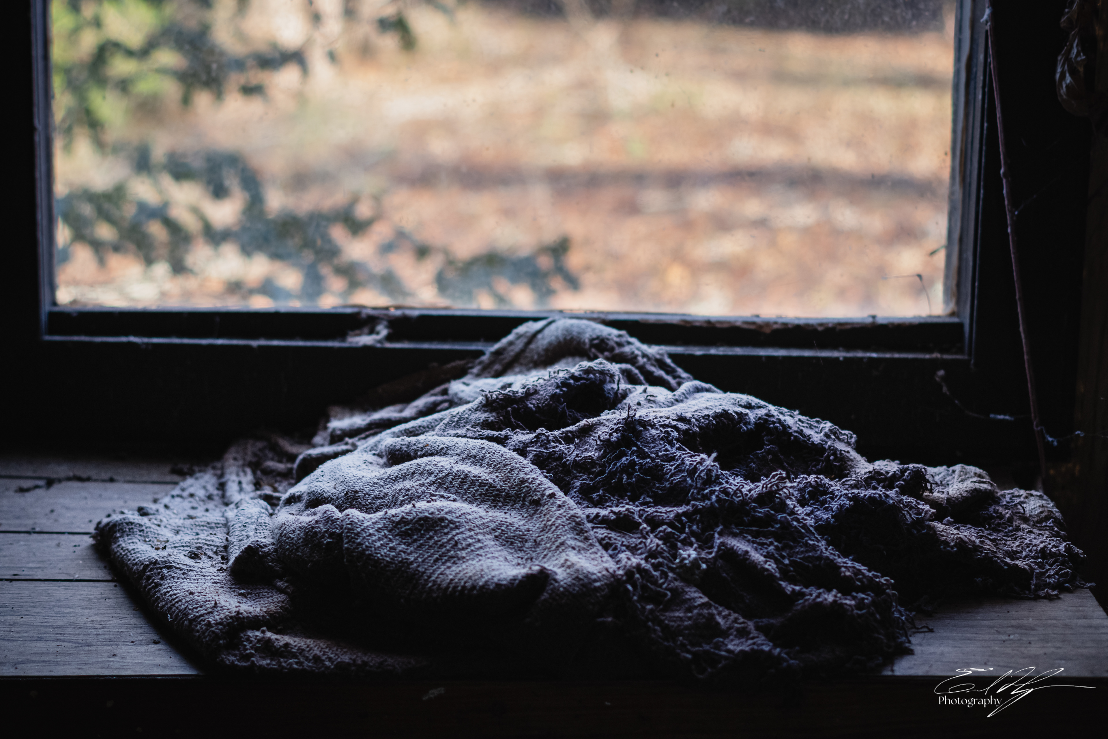 Wabi Sabi Stoic February 2025   II