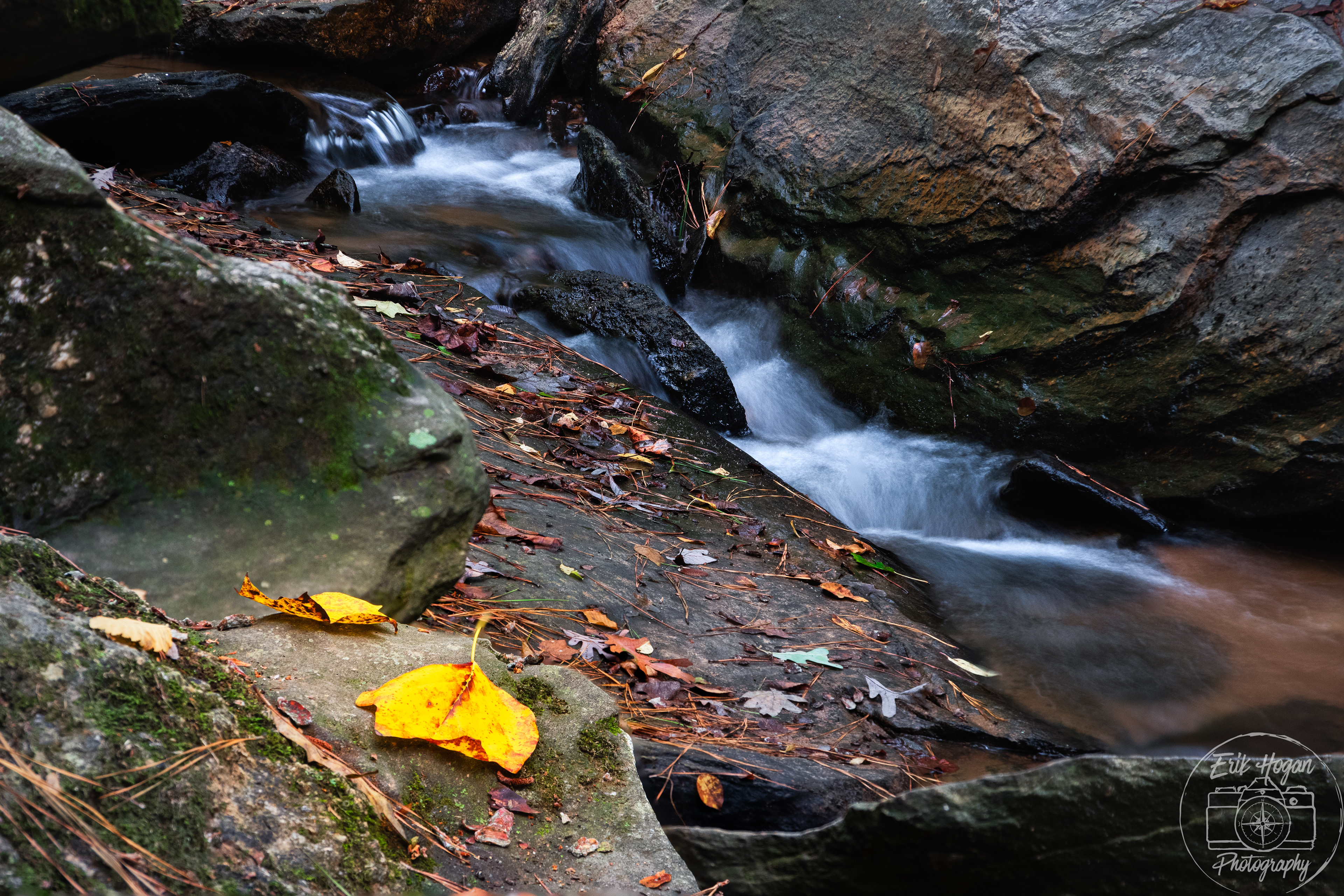 Ben Burton Park September 2024   II